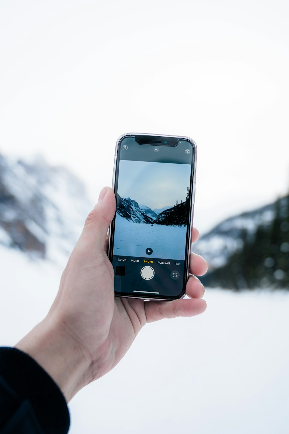 a person holding a cell phone in their hand