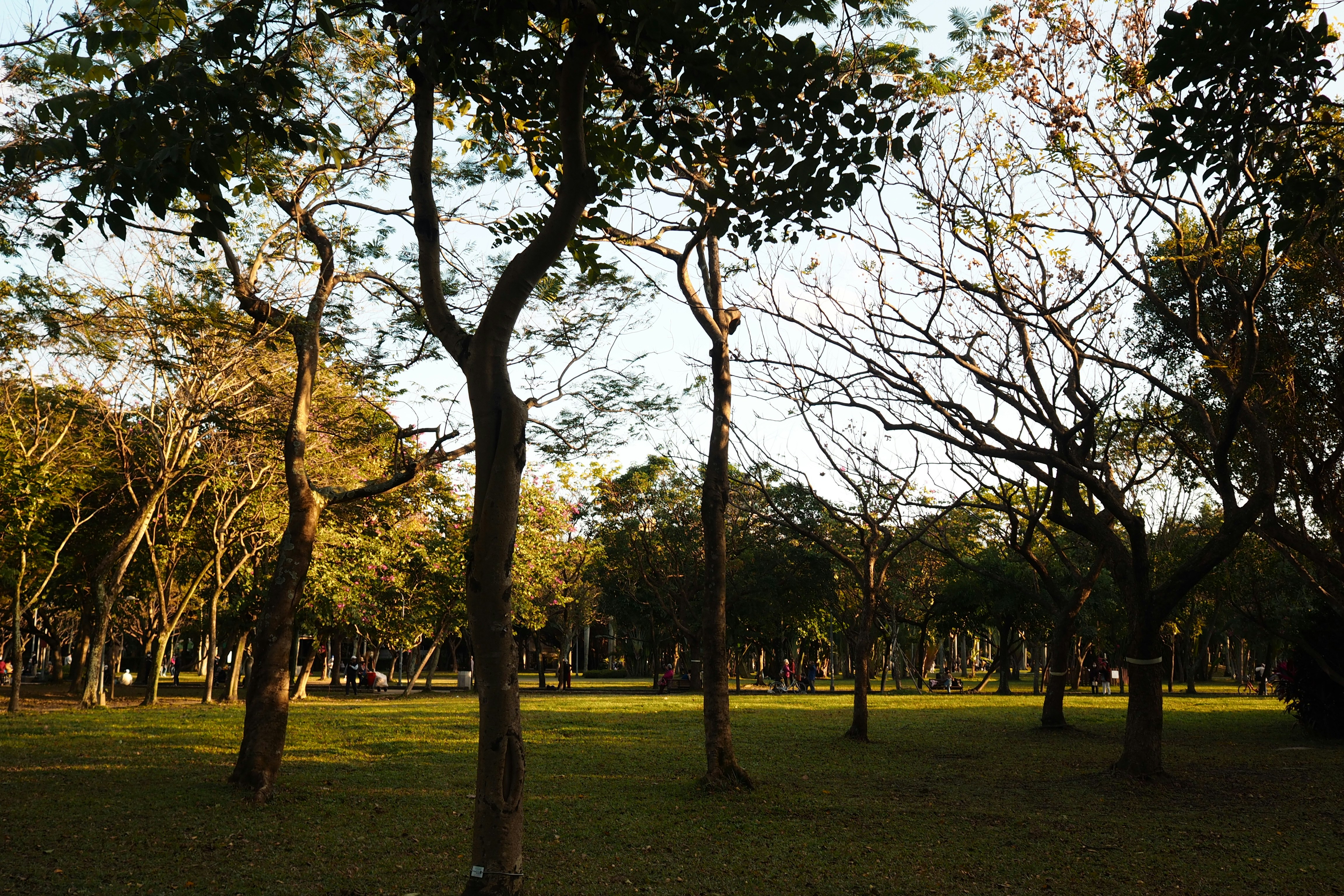 park