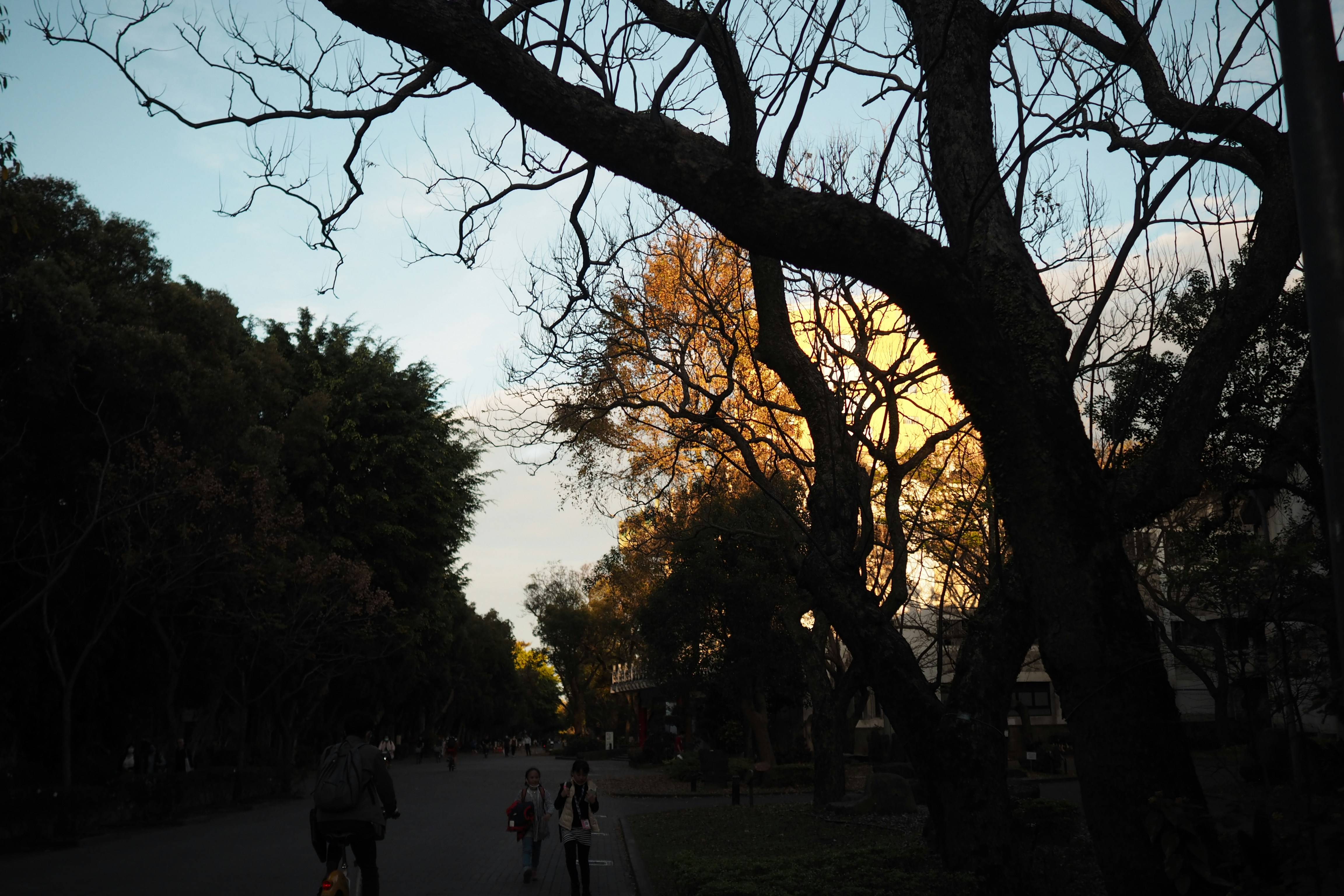 Photo by mclee