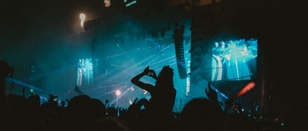 silhouette of people on concert