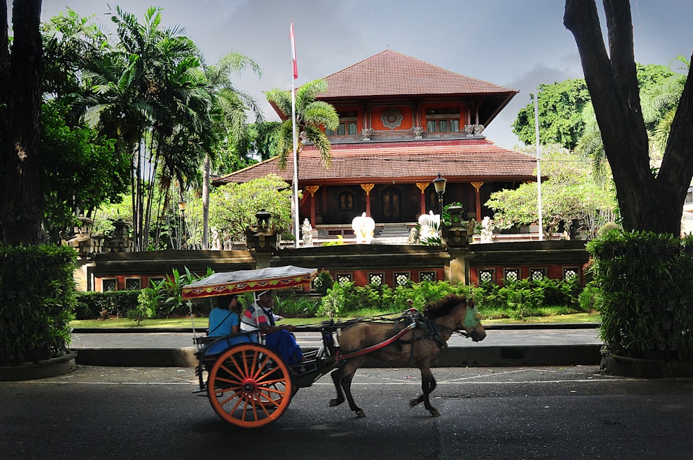 brown horse with carriage on road during daytime