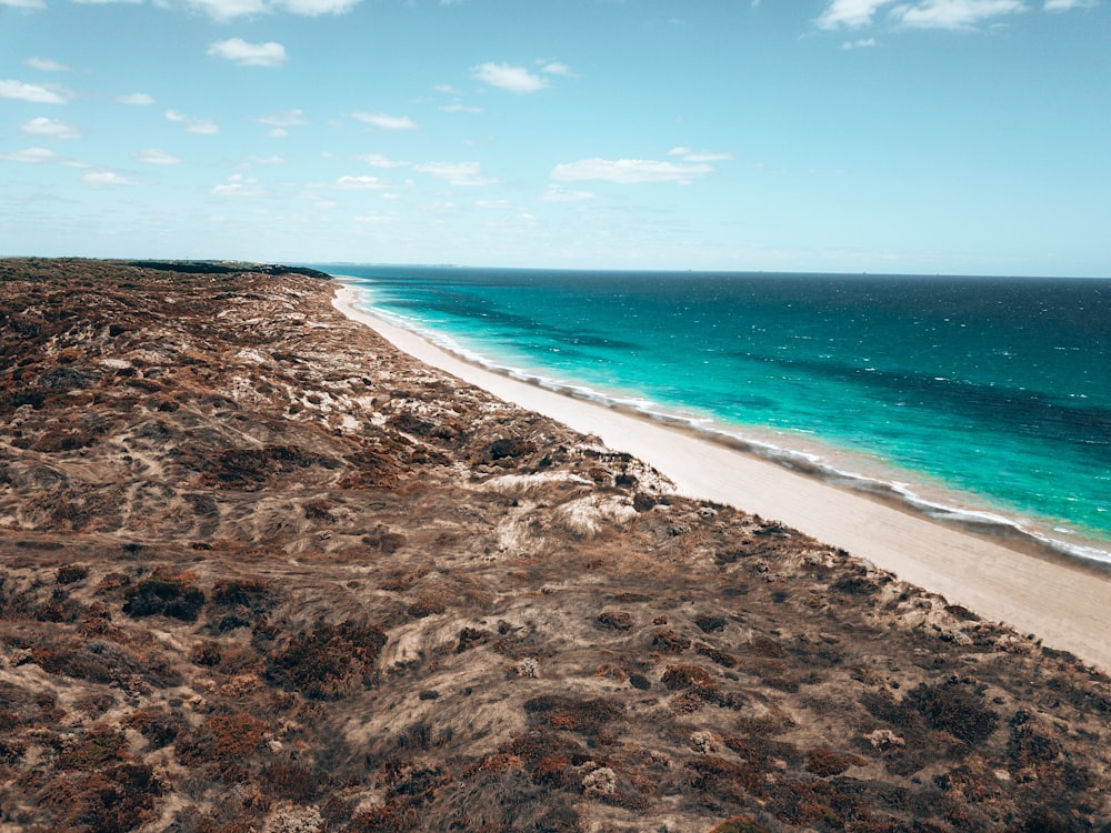 Playa de arena marrón durante el día