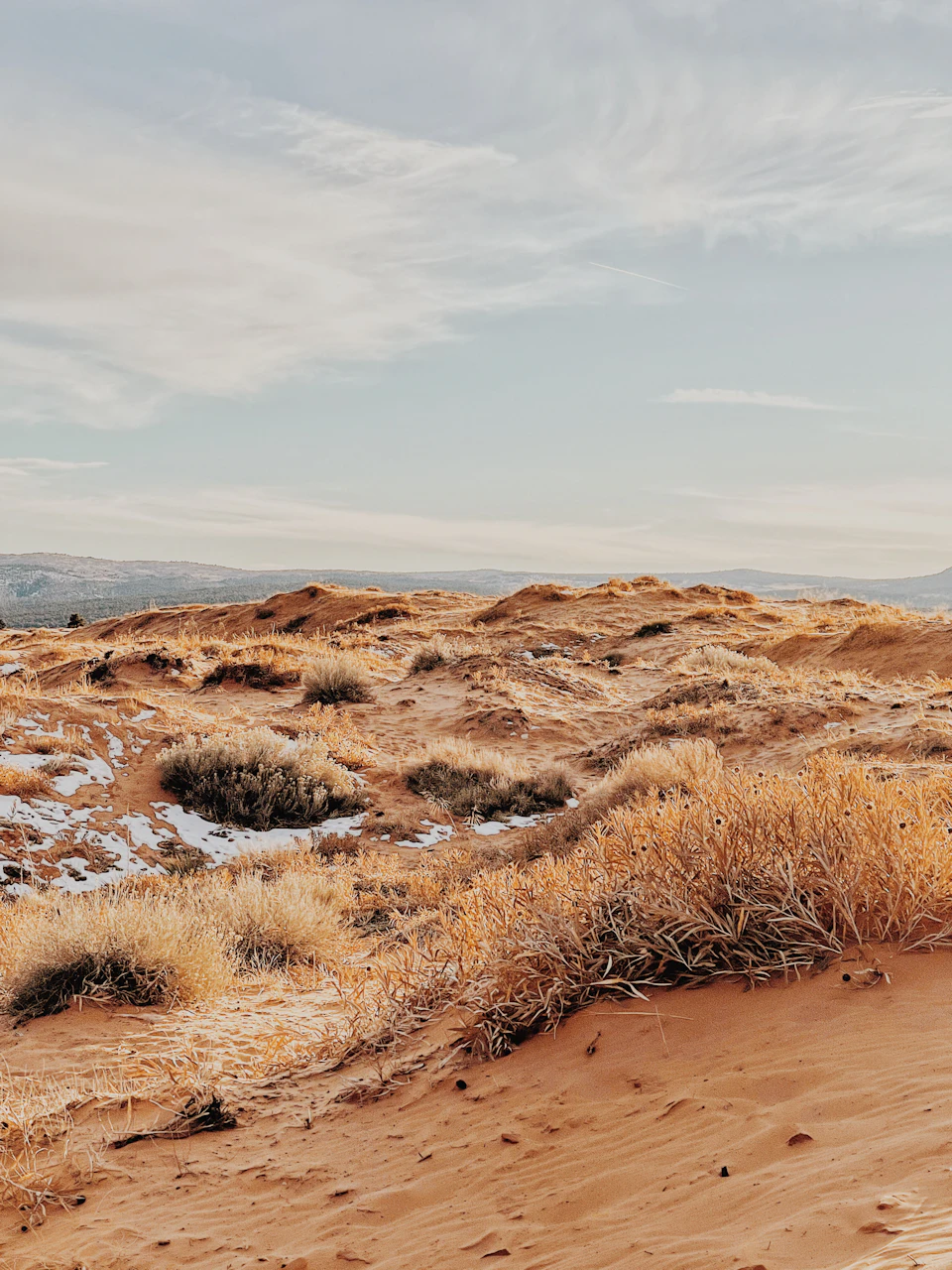The image depicts a vast desert landscape with a light brown sand dune that stretches across the frame, meeting a hazy blue sky at the horizon. The sandy terrain is dotted with small shrubs and bushes, adding a touch of green to the otherwise monochromatic scene. The perspective from which the photo was taken gives an expansive view of the desert, emphasizing its vastness and solitude.