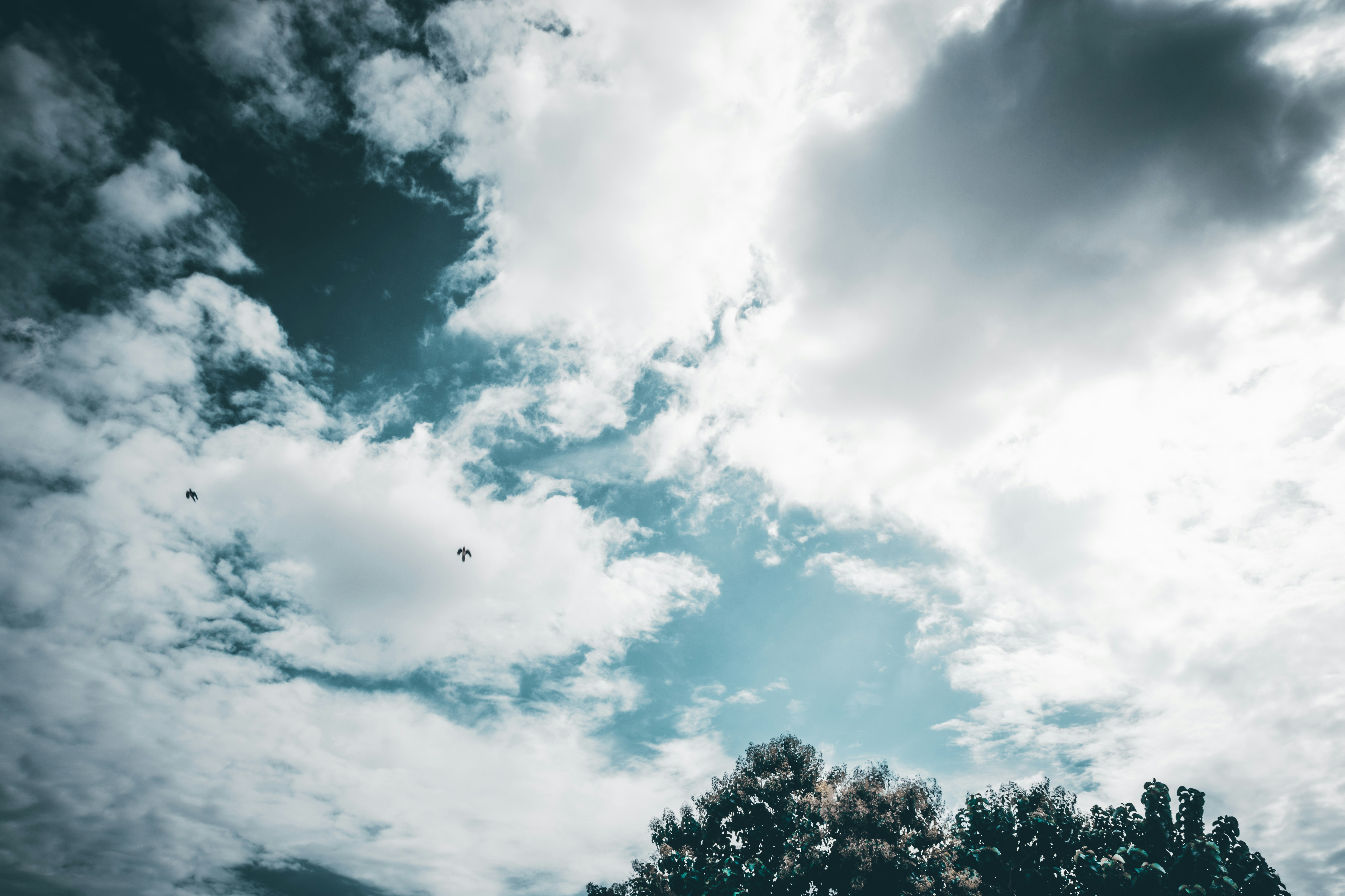 Photo by thefinalshot