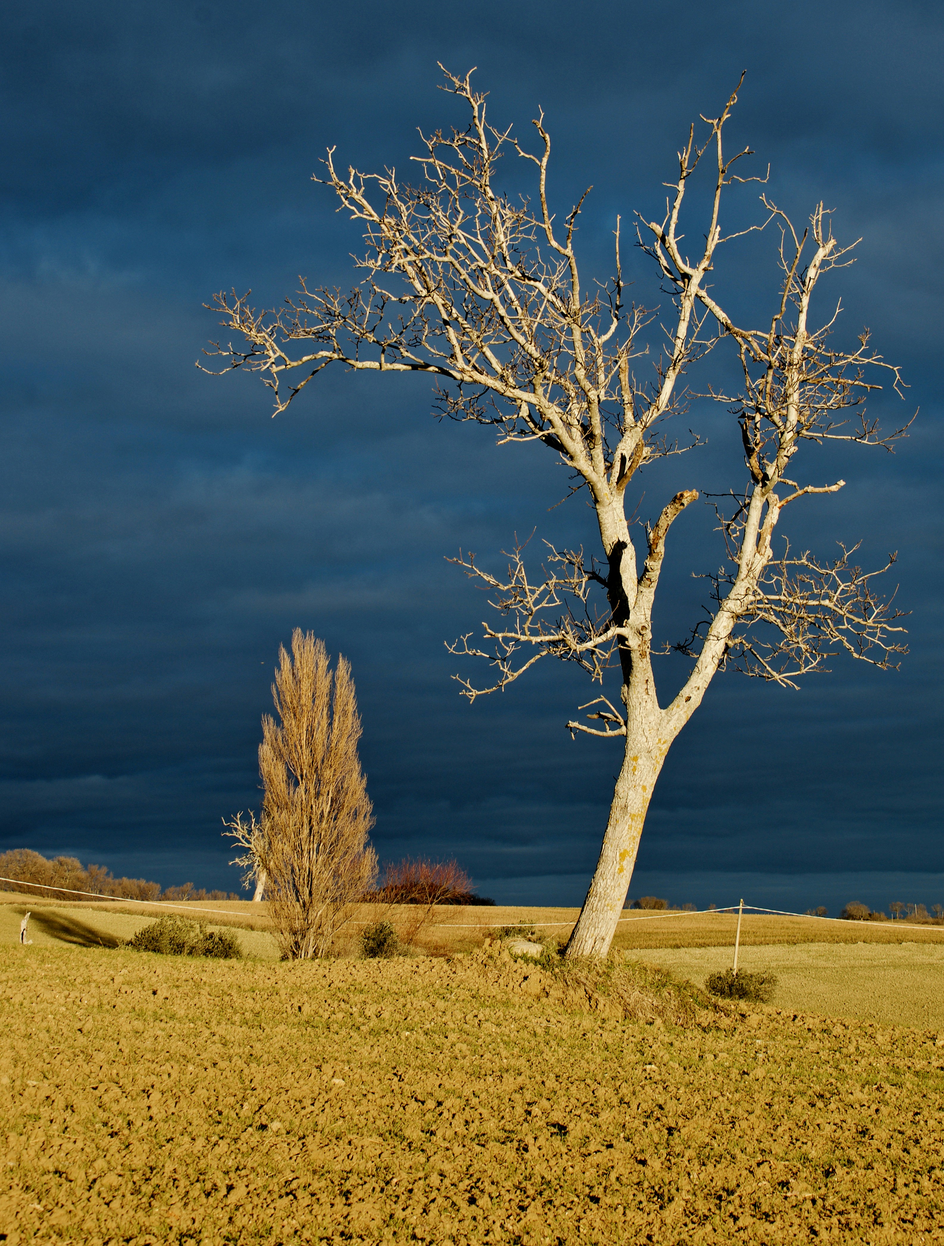 Photo by mariobeducci