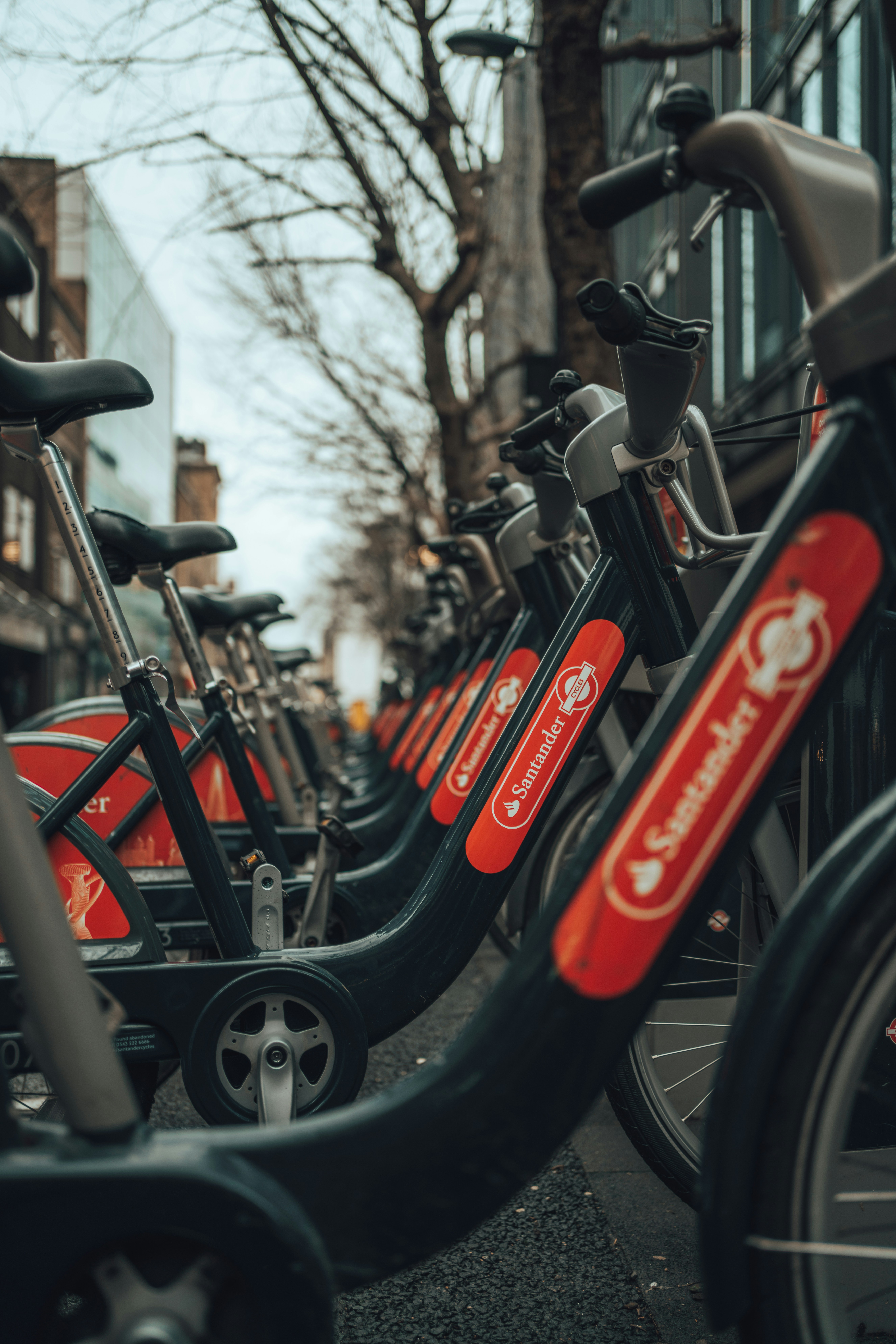 Photo by orangetiephotography