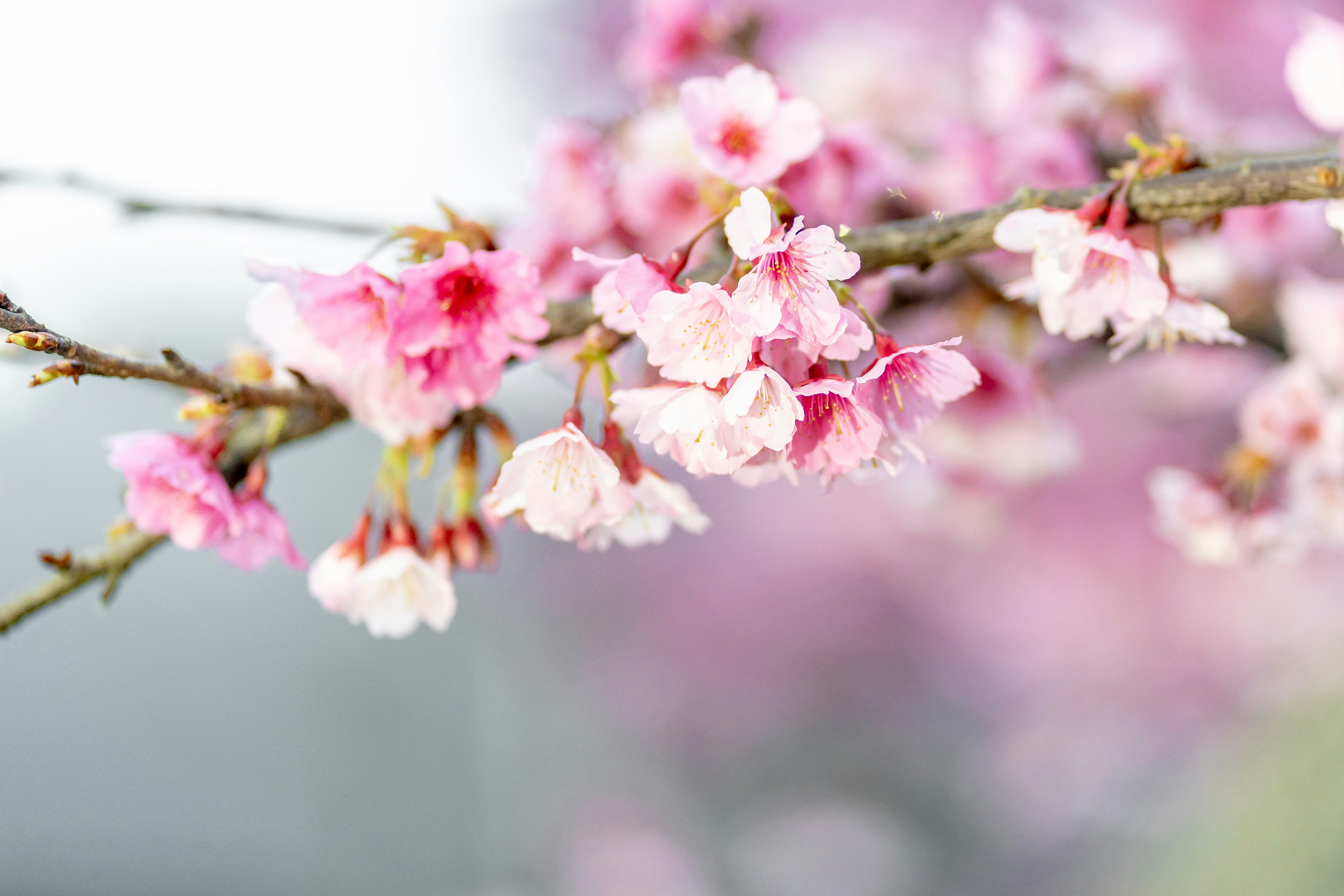 Photo by winstonchen