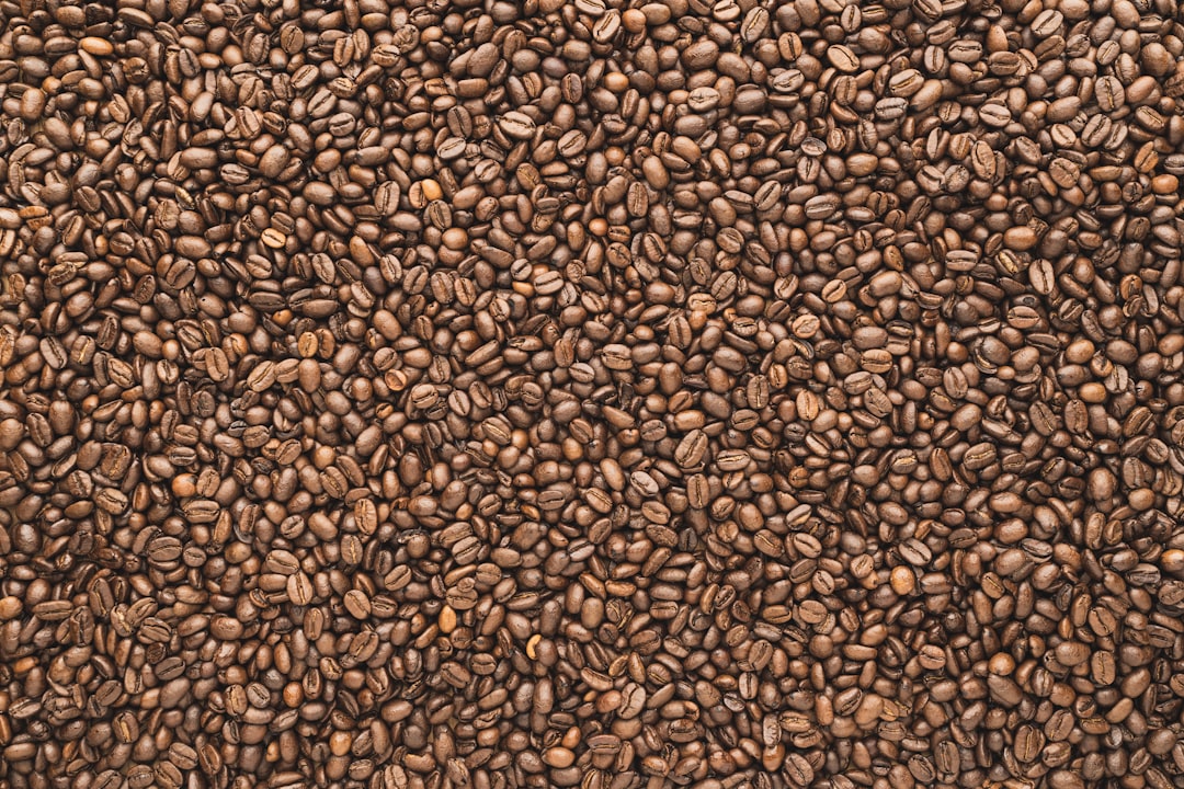 咖啡豆如何發酵？教你打造出香氣馥郁、酸味優質的咖啡豆