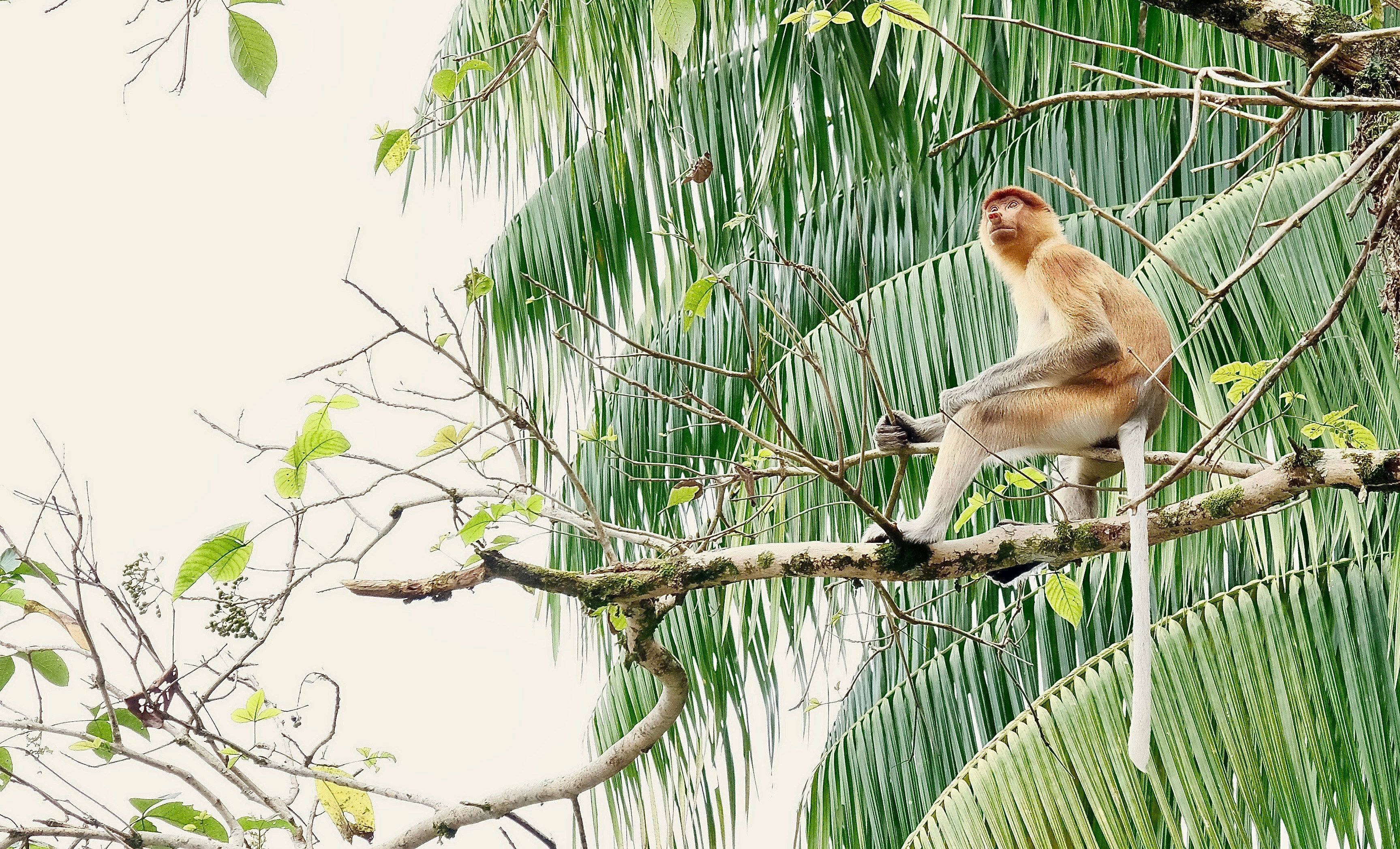 Photo by rivierabarnes