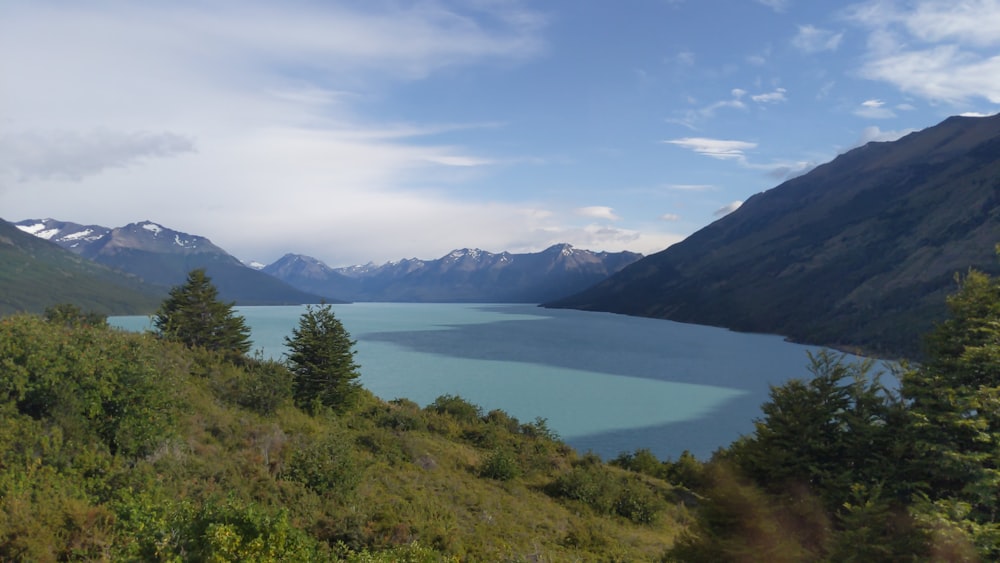 árboles verdes cerca del lago bajo nubes blancas y cielo azul durante el día