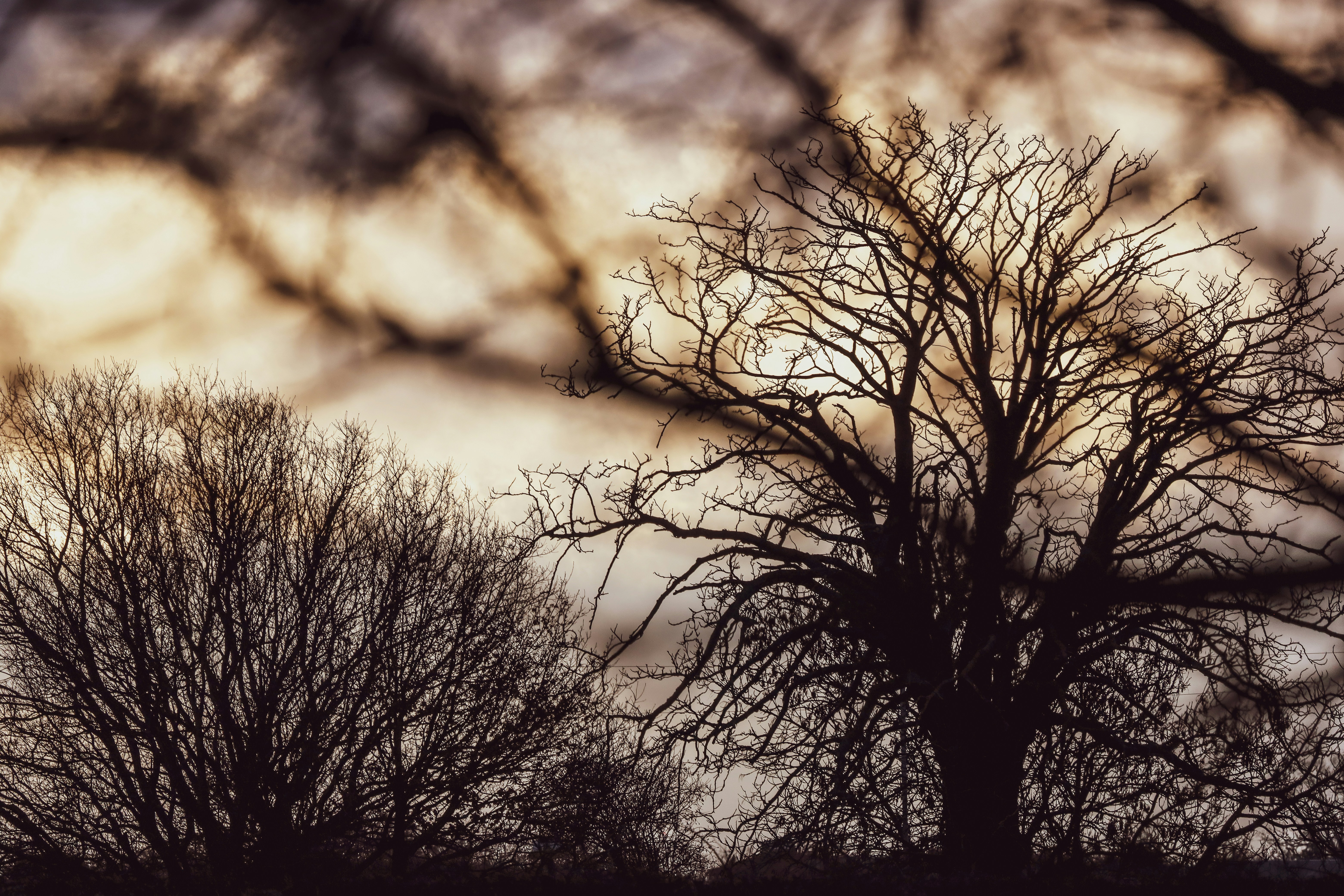 Photo by grievek1610begur