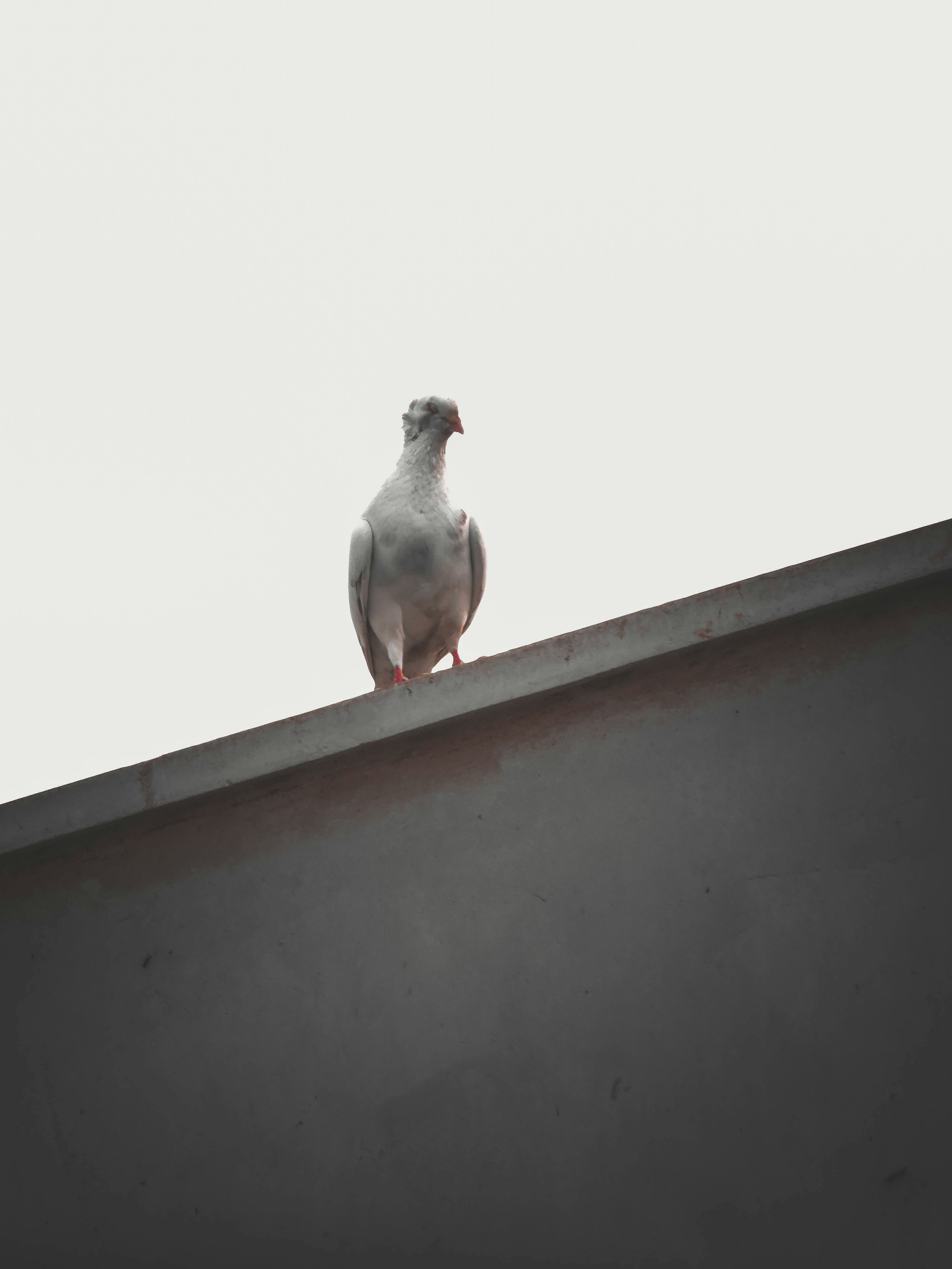 Photo by pringles_2002