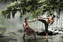 Two men are depicted engaged in martial arts practice in a serene natural setting with a misty backdrop. Overhanging leafy branches and flowing water create a picturesque environment. One man is performing a high kick while the other assumes a defensive stance.