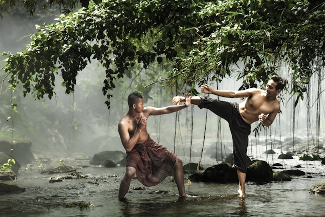Two men are depicted engaged in martial arts practice in a serene natural setting with a misty backdrop. Overhanging leafy branches and flowing water create a picturesque environment. One man is performing a high kick while the other assumes a defensive stance.