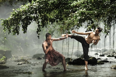 Two men are depicted engaged in martial arts practice in a serene natural setting with a misty backdrop. Overhanging leafy branches and flowing water create a picturesque environment. One man is performing a high kick while the other assumes a defensive stance.