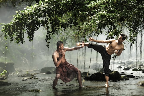 Two men are depicted engaged in martial arts practice in a serene natural setting with a misty backdrop. Overhanging leafy branches and flowing water create a picturesque environment. One man is performing a high kick while the other assumes a defensive stance.