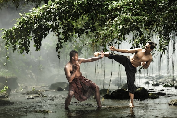 Two men are depicted engaged in martial arts practice in a serene natural setting with a misty backdrop. Overhanging leafy branches and flowing water create a picturesque environment. One man is performing a high kick while the other assumes a defensive stance.