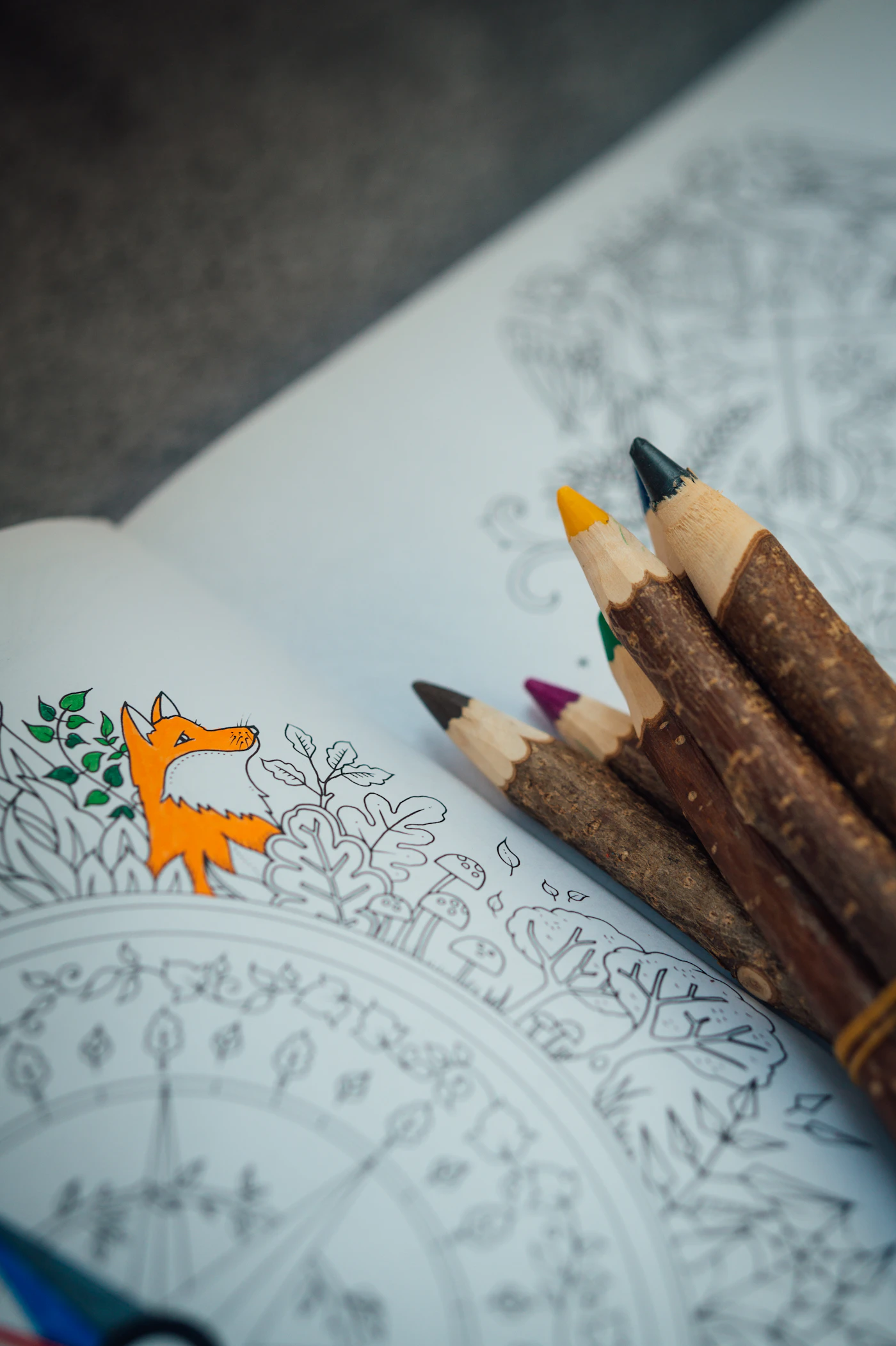 Adult coloring book