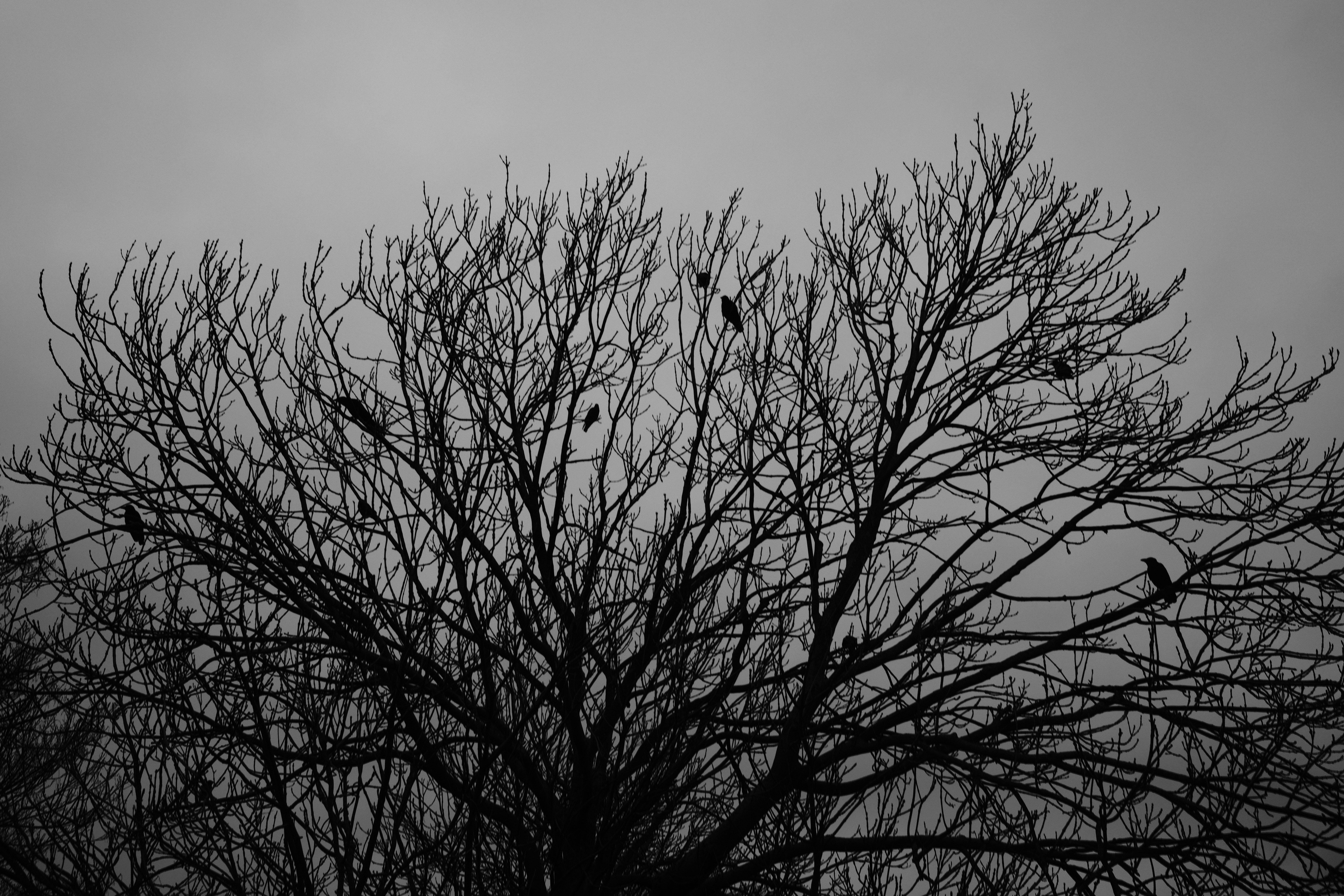 Photo by tomasrobertson