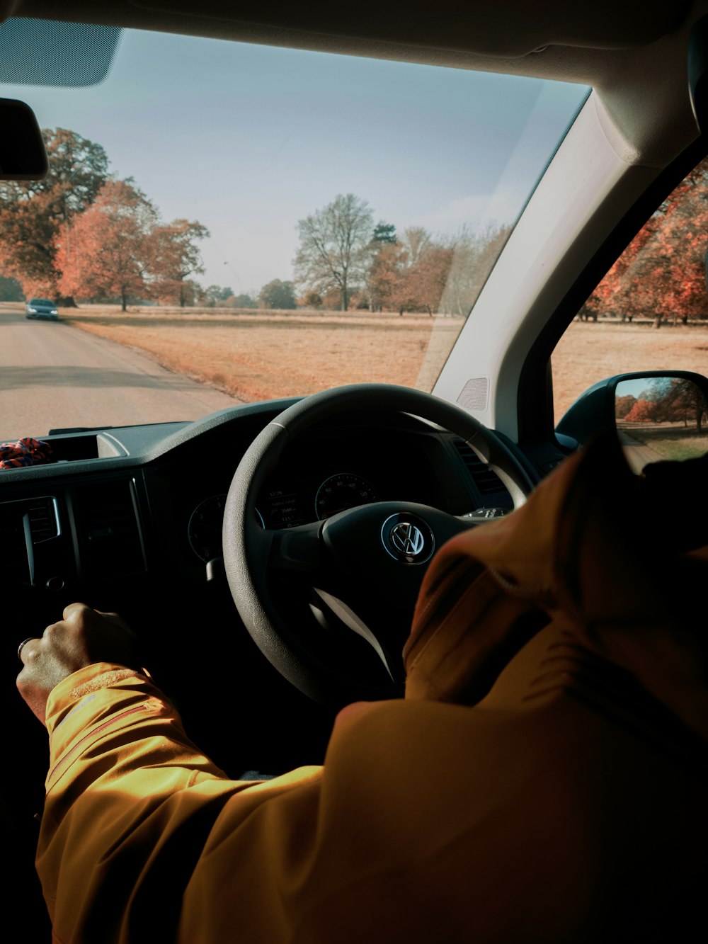 Person, die tagsüber Auto fährt