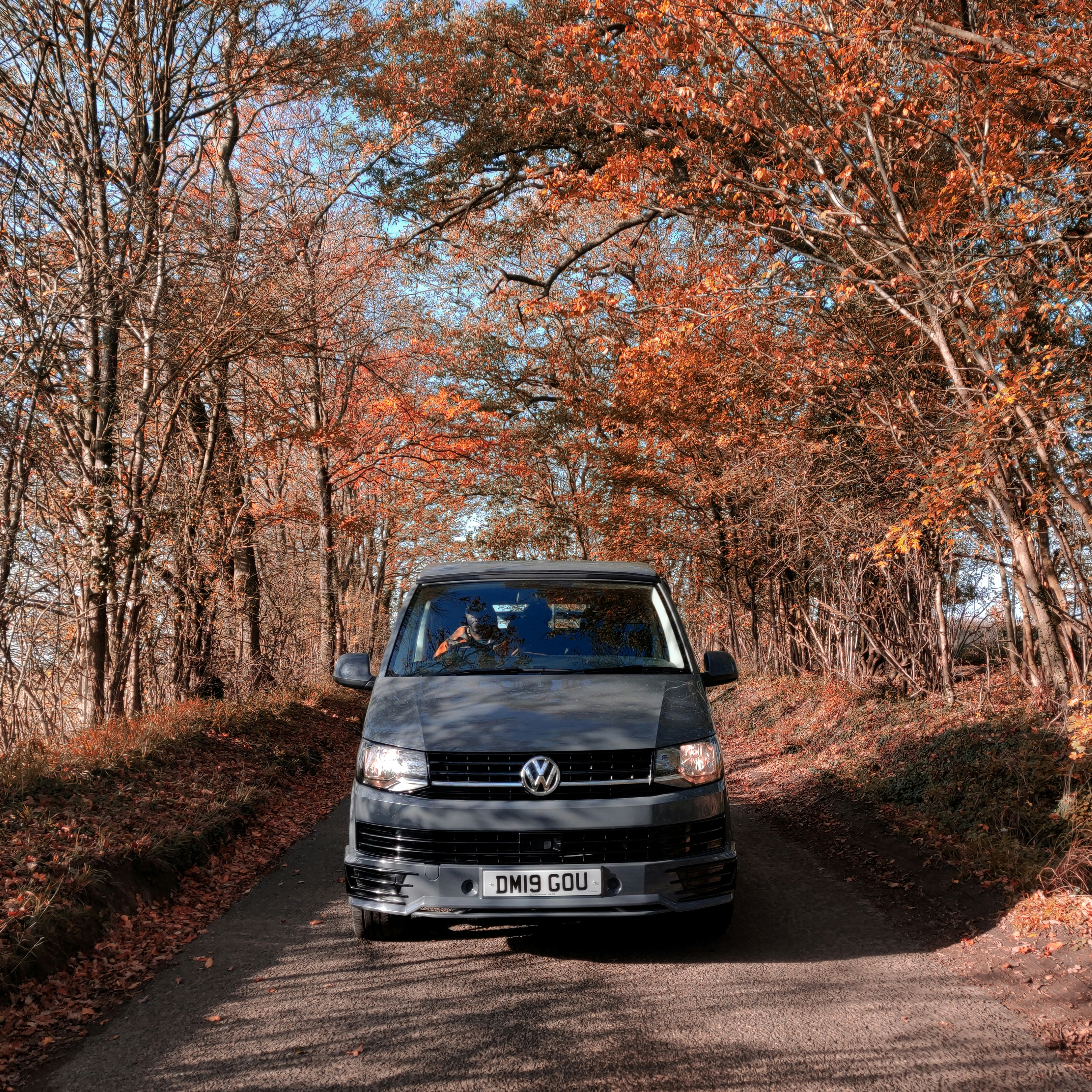 black car on road near trees during daytime