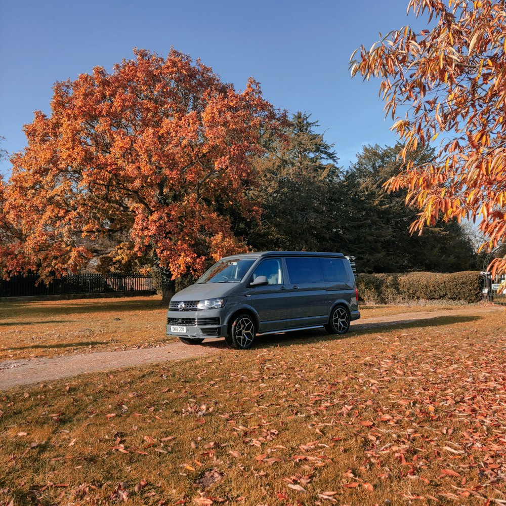 black suv parked near brown leaf trees during daytime