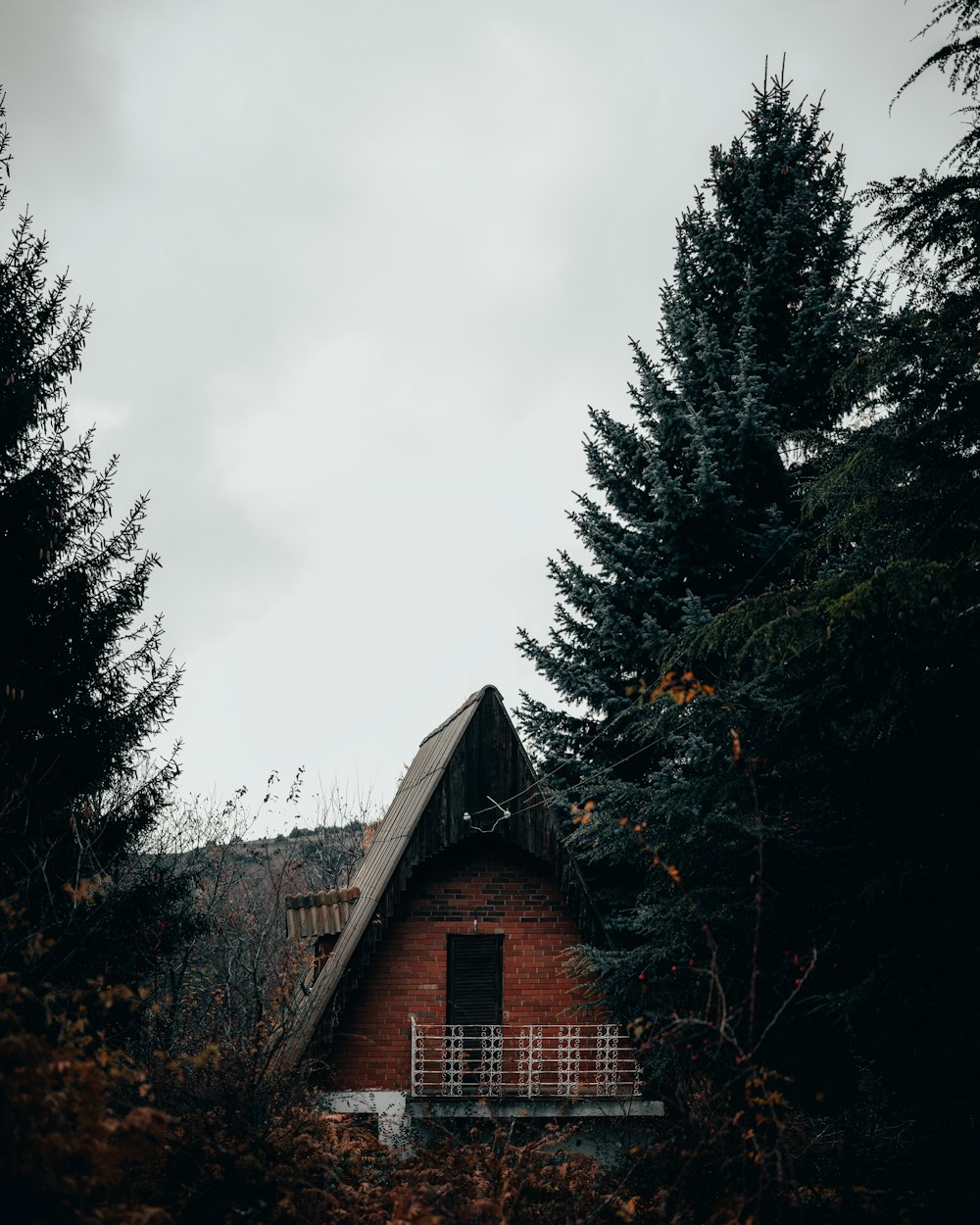 brown wooden house near green trees under white clouds