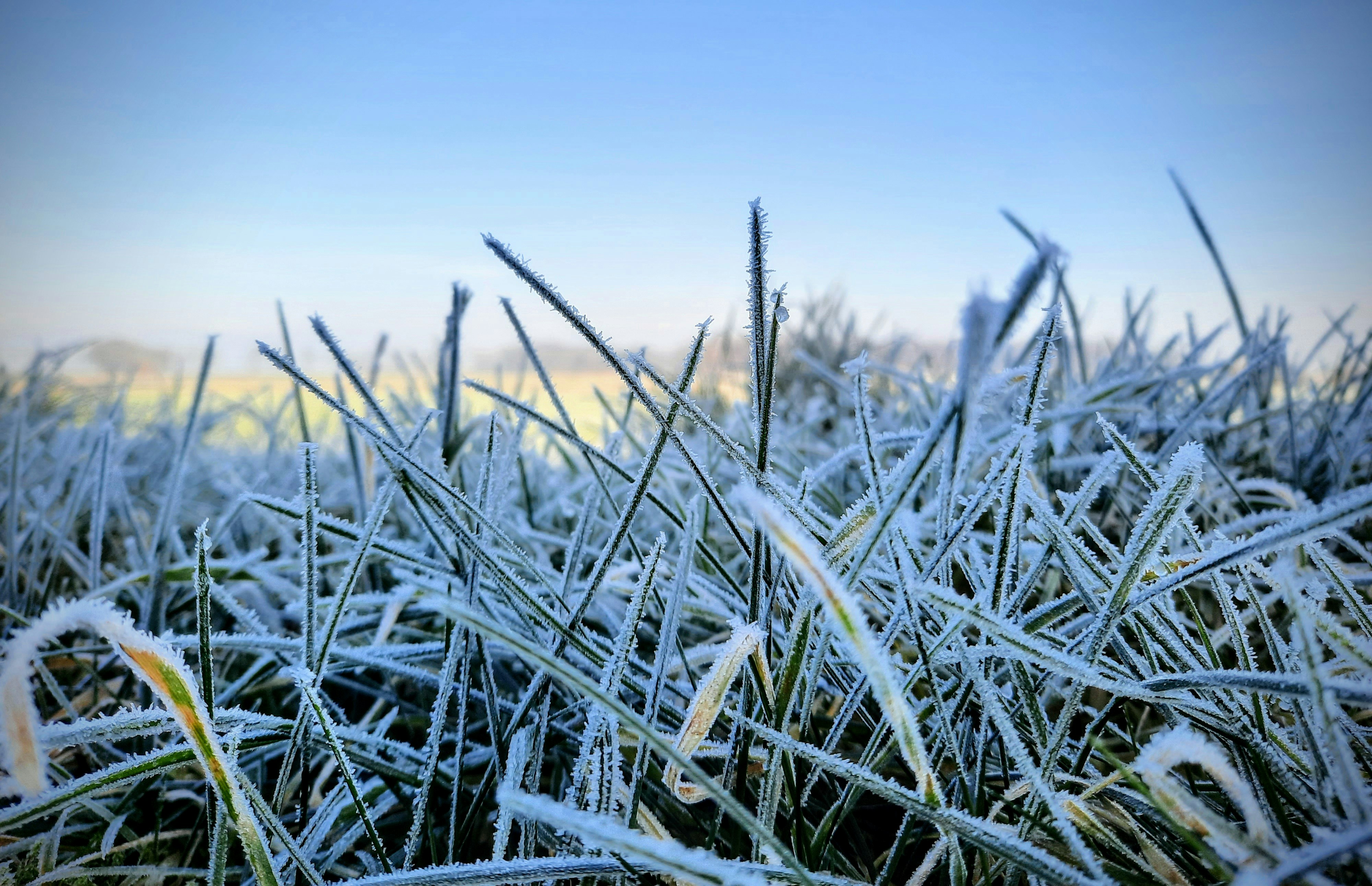 Photo by wietske_boer