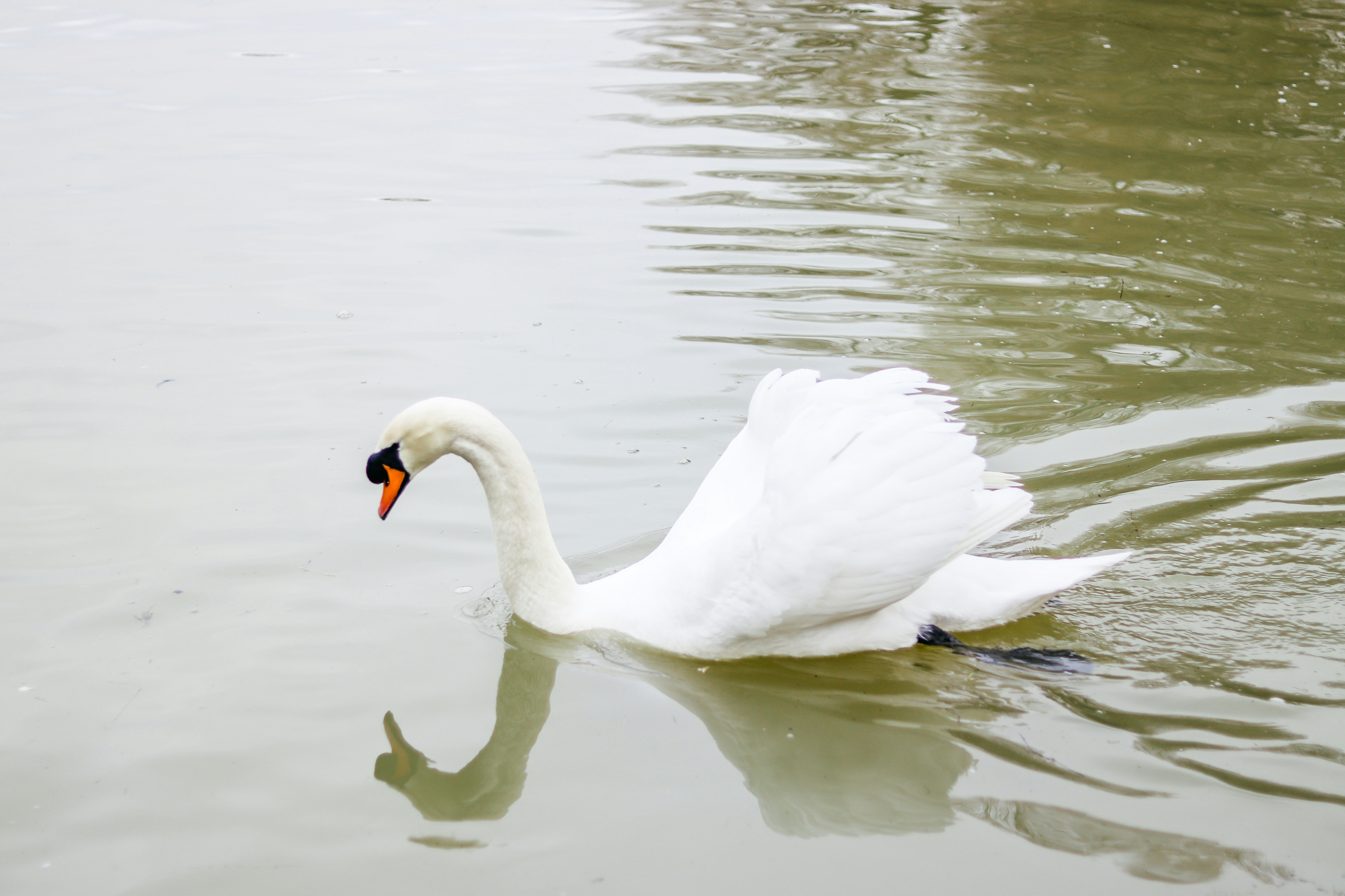 Photo by honeypoppet