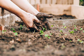 person doing gardening work