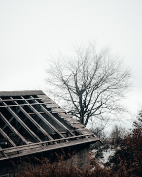 Close-up of a residential asphalt shingle roof with missing shingles and visible wind lift damage in a desert neighborhood.