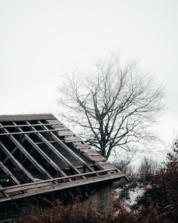 A dilapidated roof of a building with missing shingles is visible, surrounded by bare trees and bushes. The scene has an overcast sky, suggesting a cold or autumnal atmosphere. The architecture appears neglected and blended with the natural surroundings.