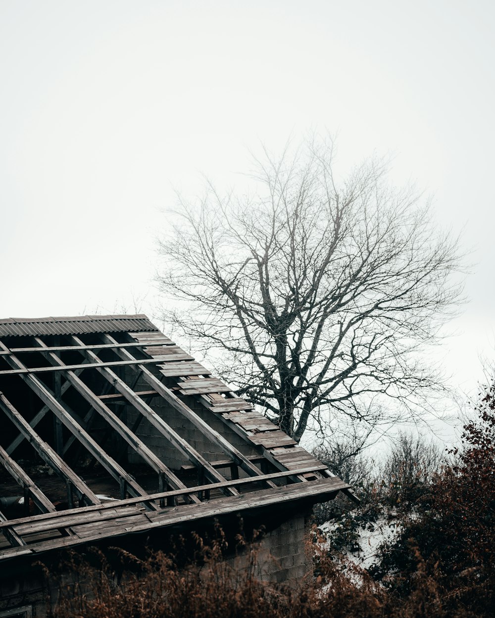 Braunes Holzhaus in der Nähe von kahlen Bäumen unter weißem Himmel tagsüber