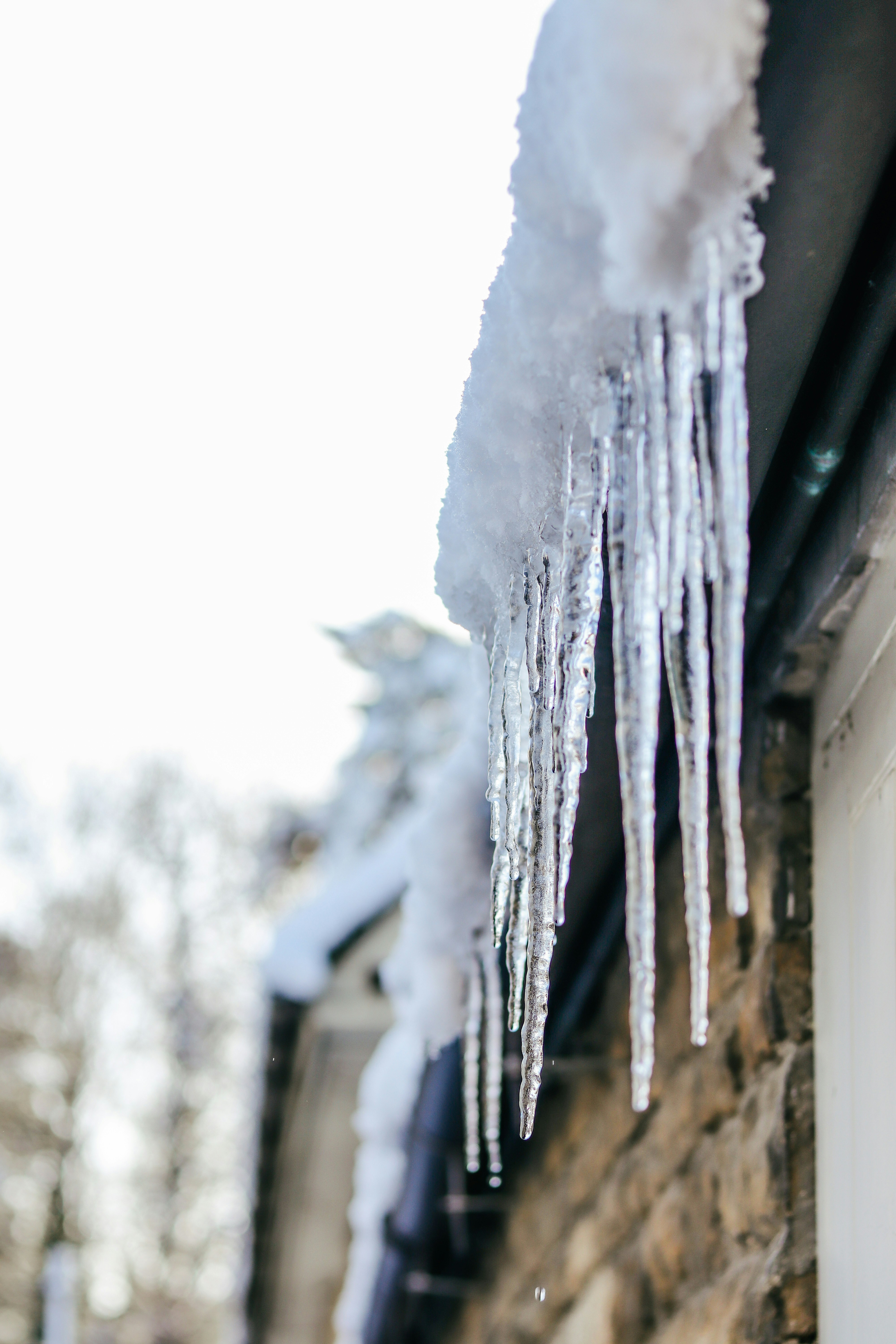 Photo by honeypoppet