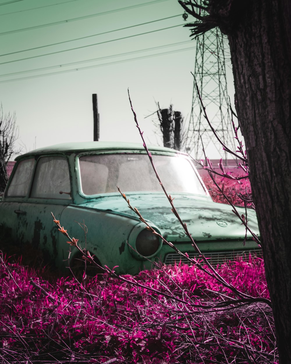 grayscale photo of car near tree