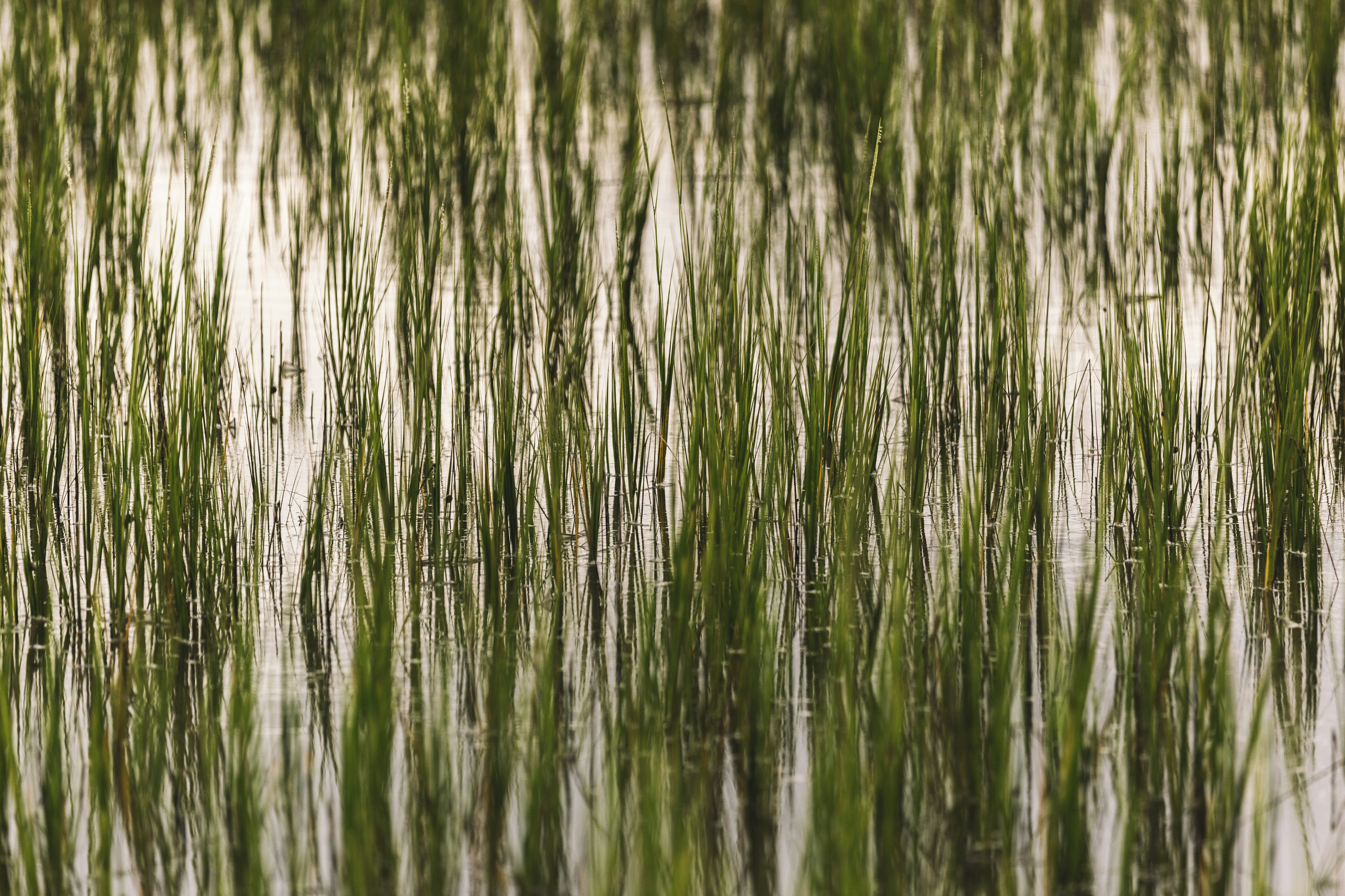 Photo by joetography