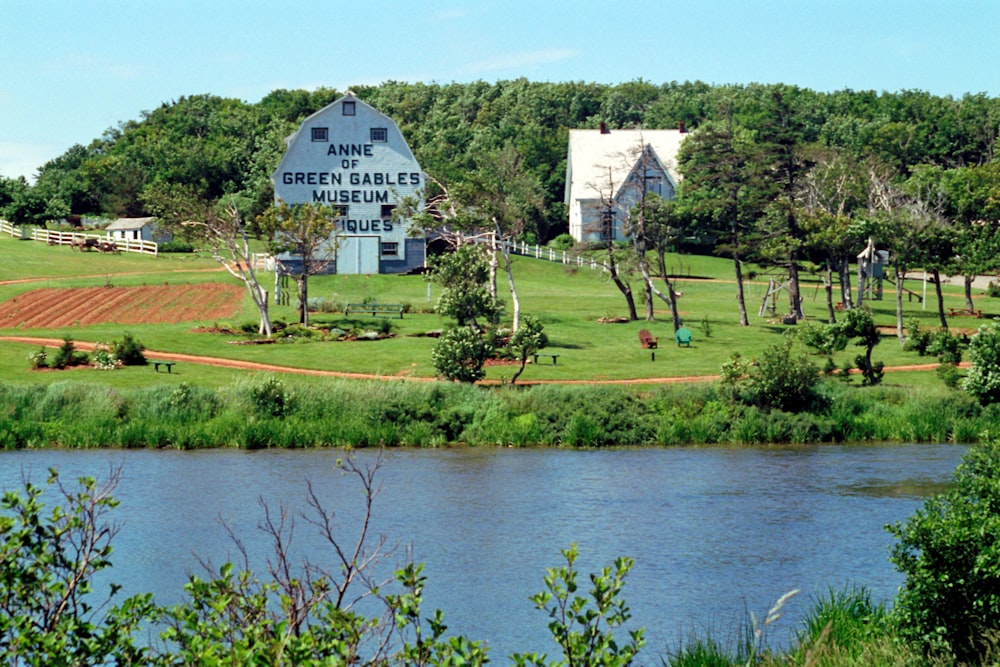 green grass field near body of water during daytime