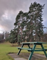 A peaceful outdoor scene with a person enjoying a healthy picnic in nature.