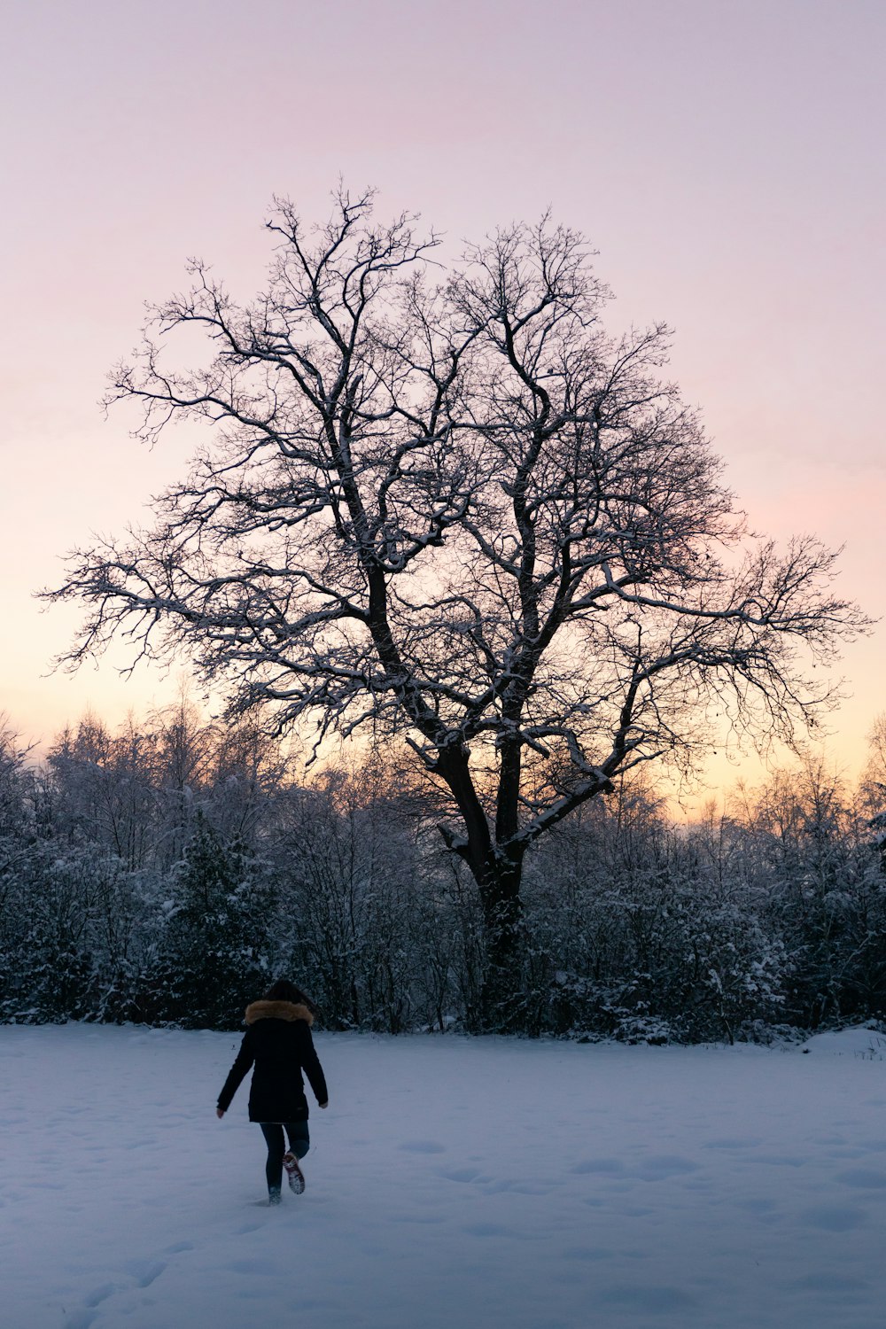 pessoa em jaqueta preta em pé perto de árvores nuas durante o dia