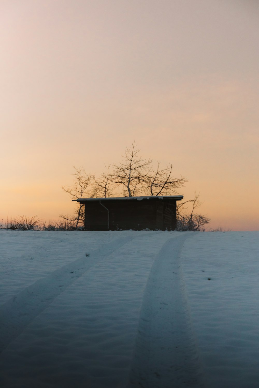 casa de madeira marrom no chão coberto de neve