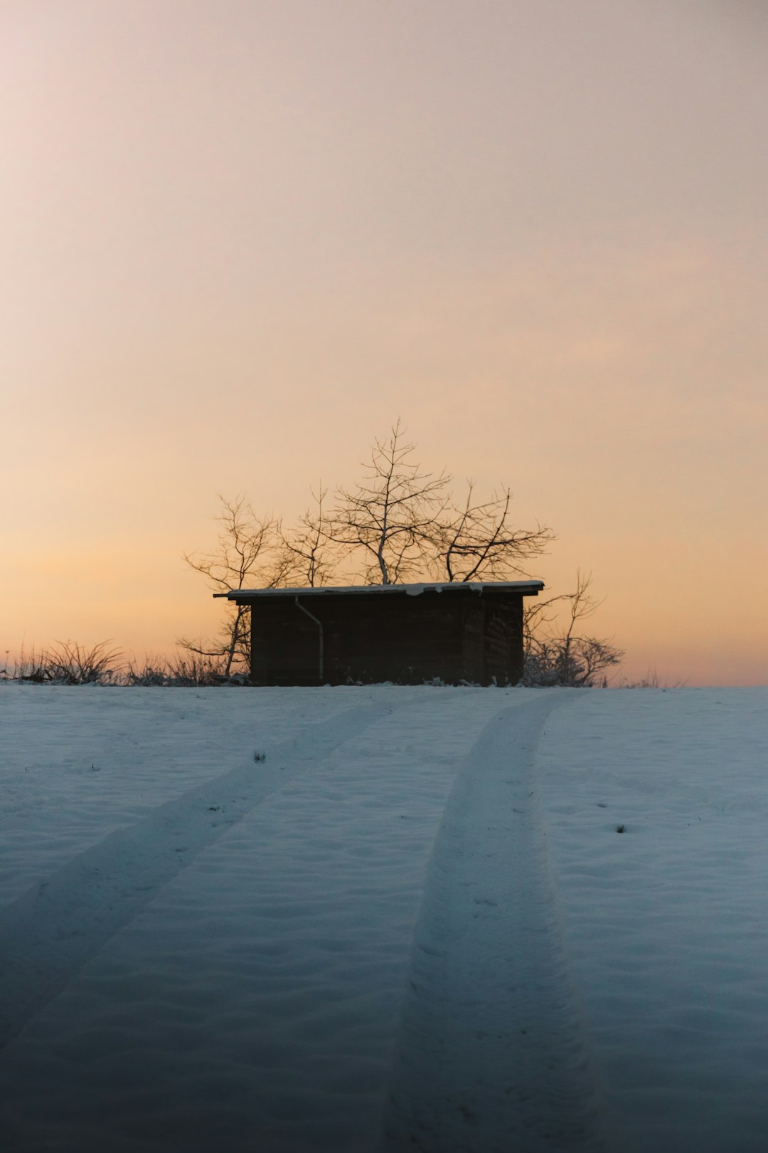 brown wooden house on snow covered ground