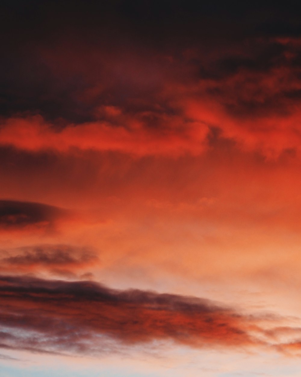 Red Sky Pictures [HQ]  Download Free Images on Unsplash