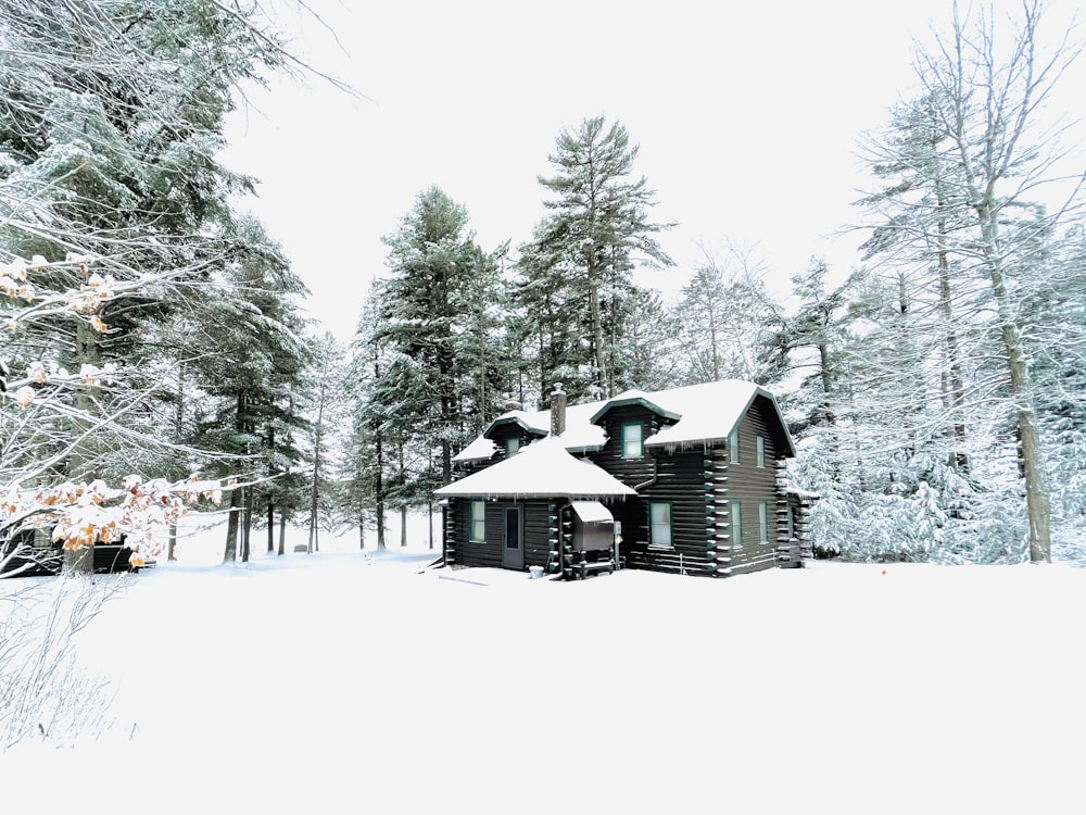 white and green wooden house surrounded by trees covered with snow during daytime