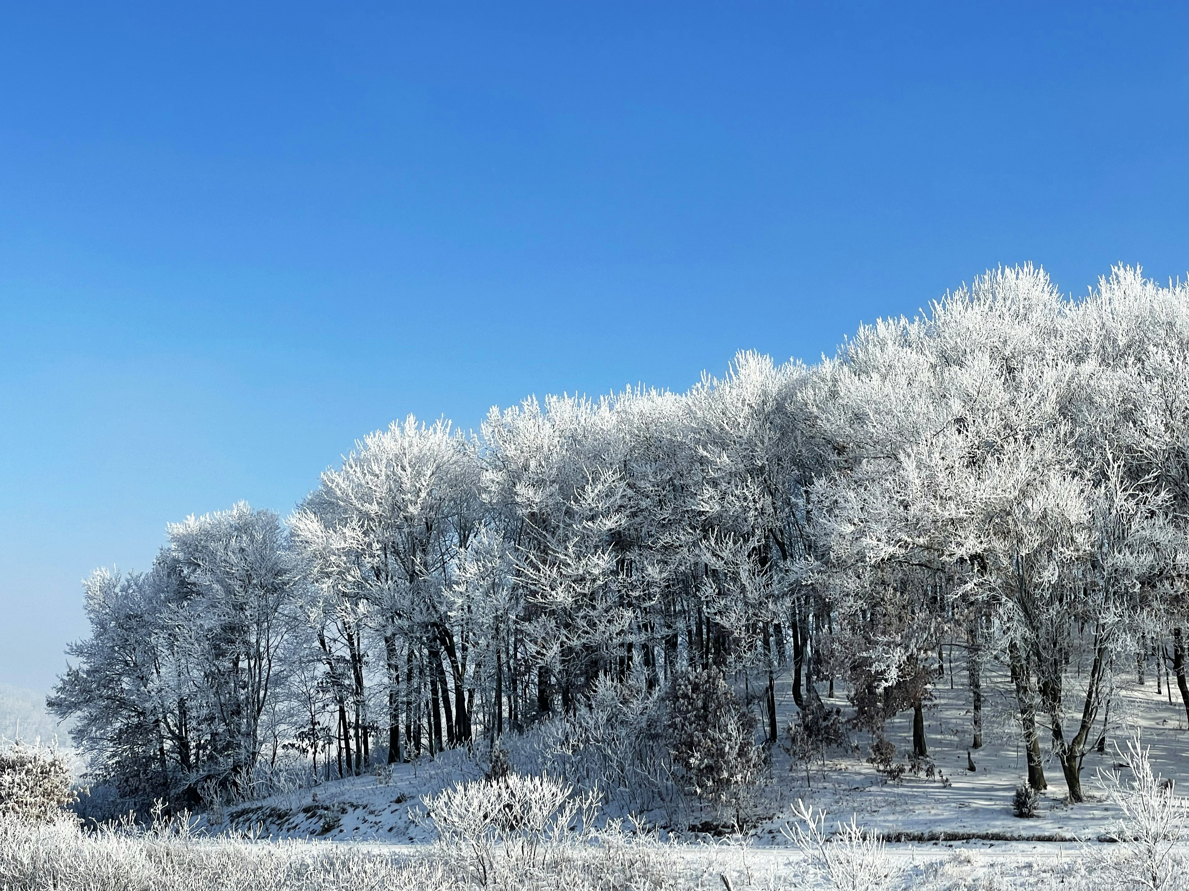 Photo by erinlarsonphotography