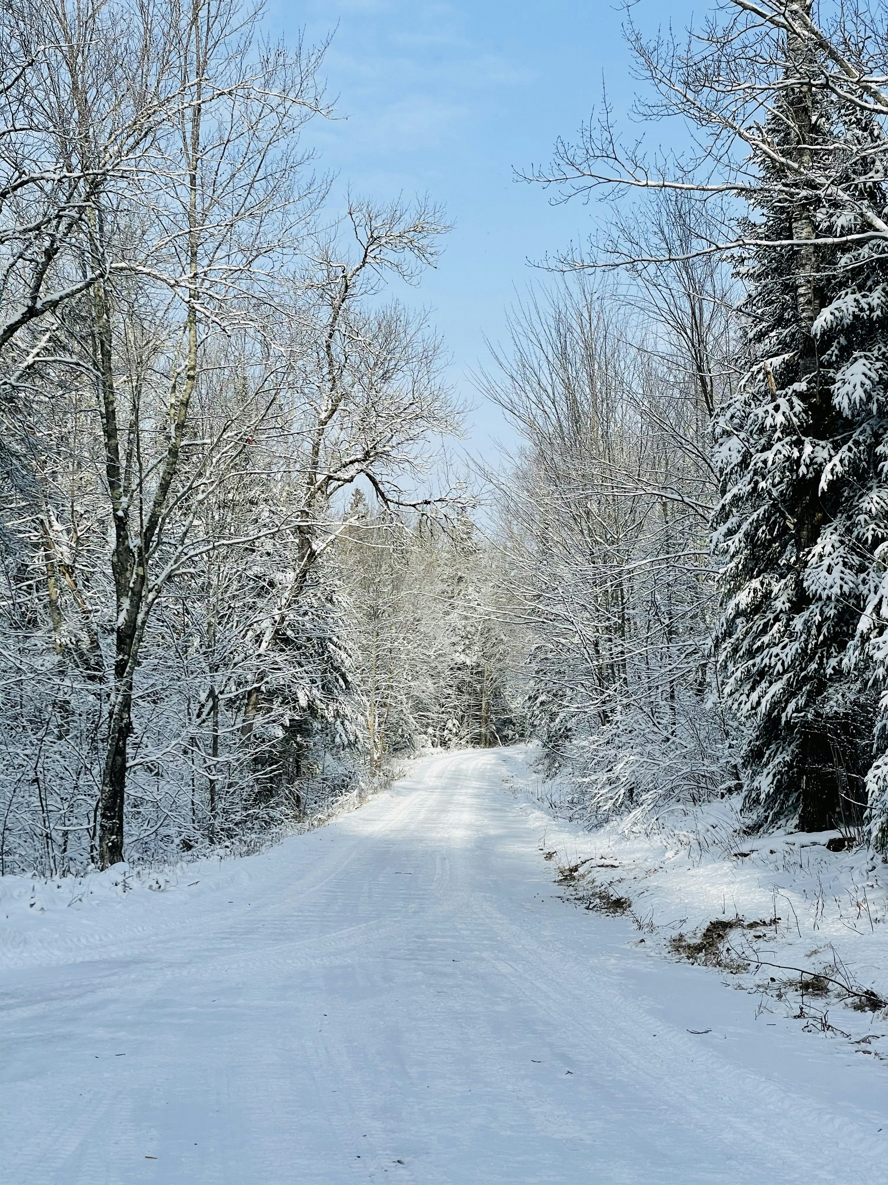 Photo by erinlarsonphotography