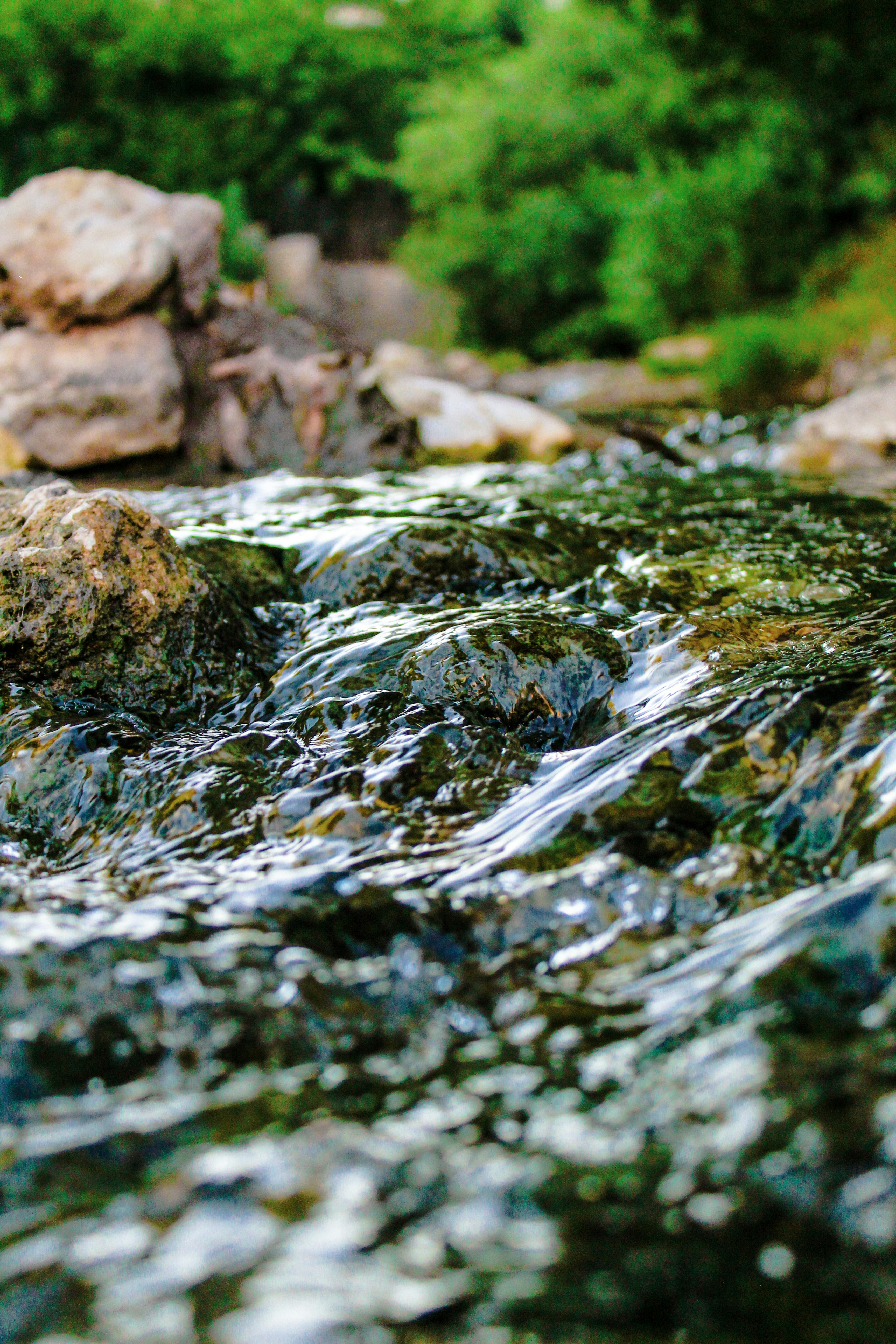 Photo by lensensational