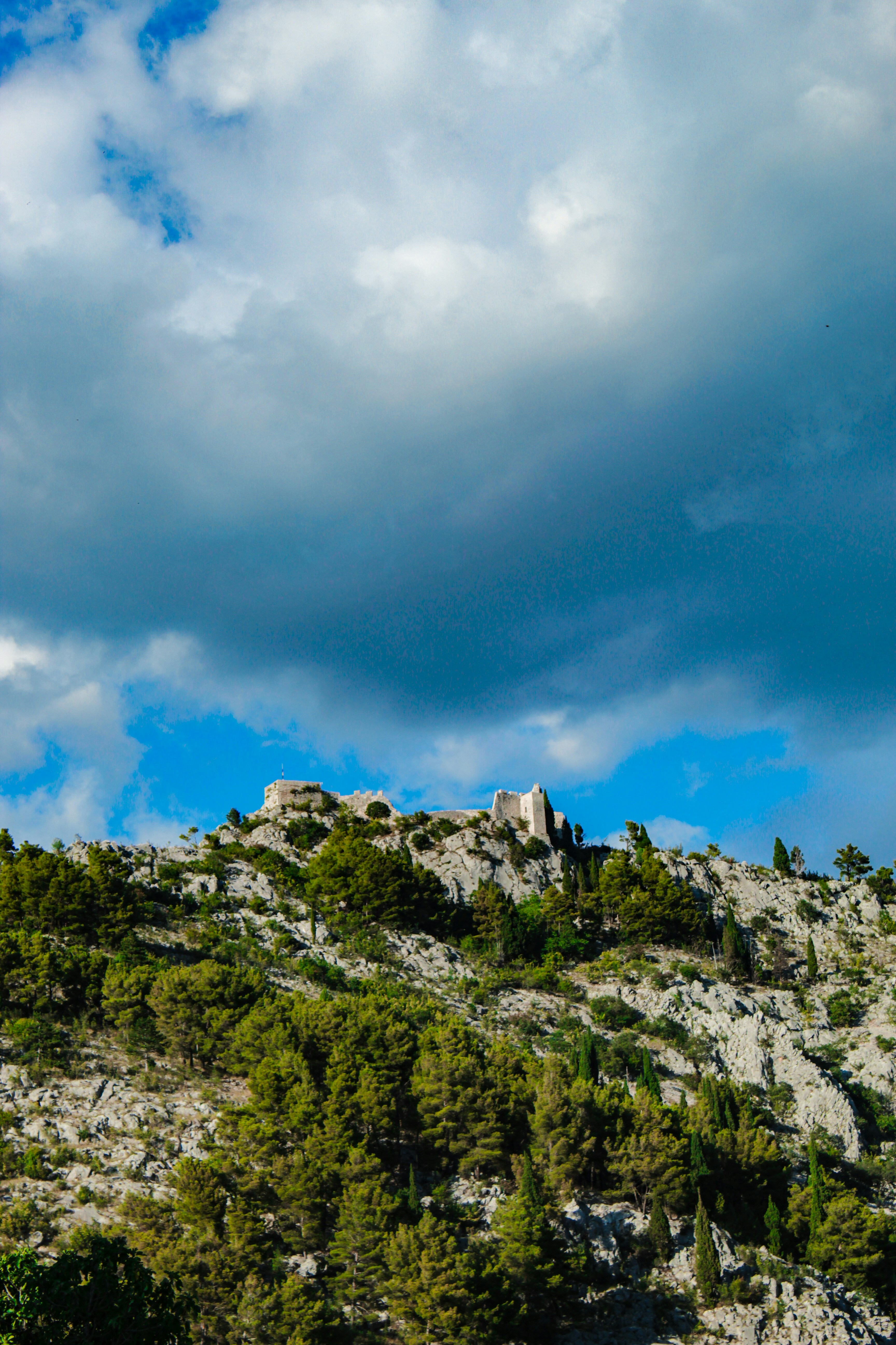 Photo by lensensational