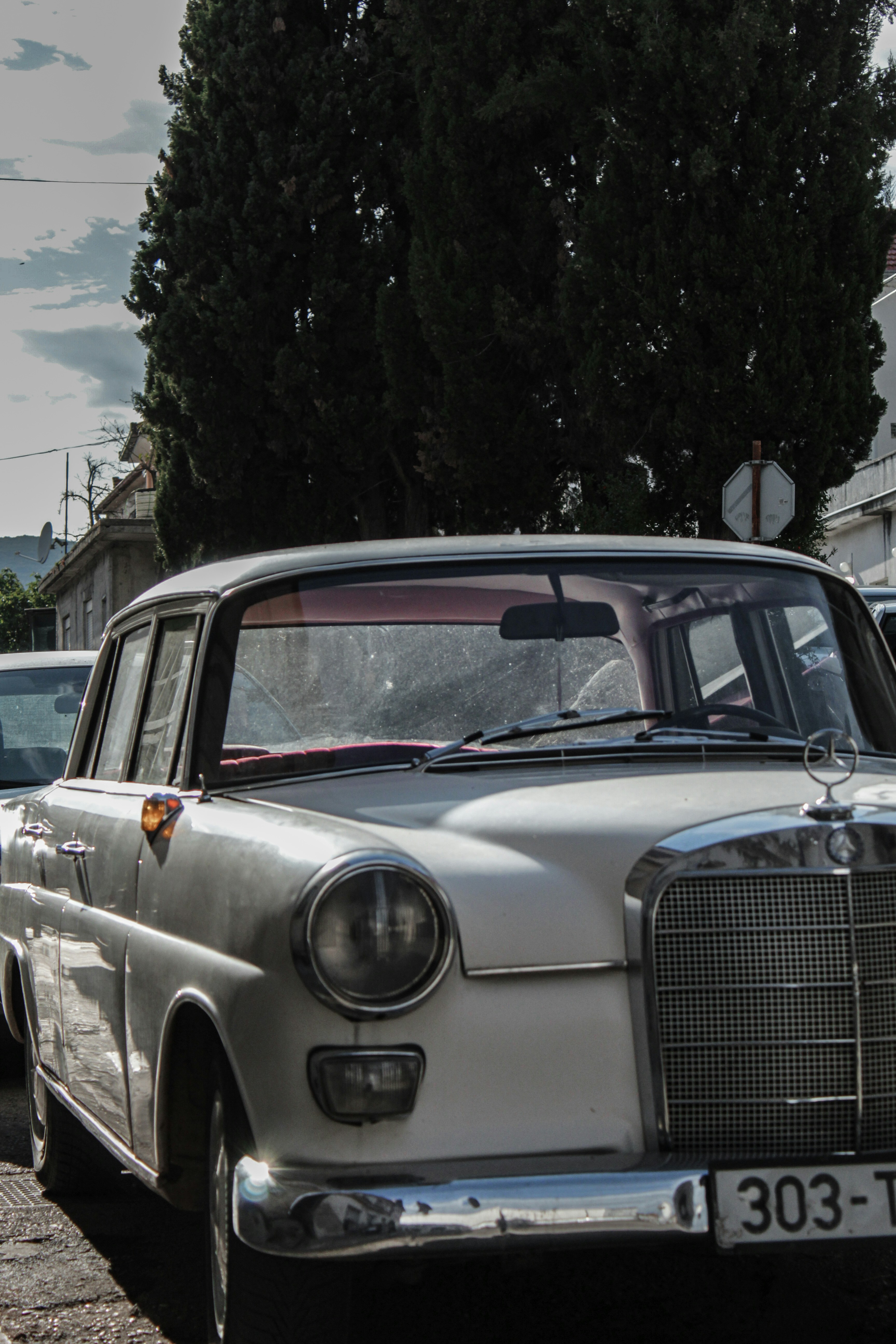 Photo by lensensational