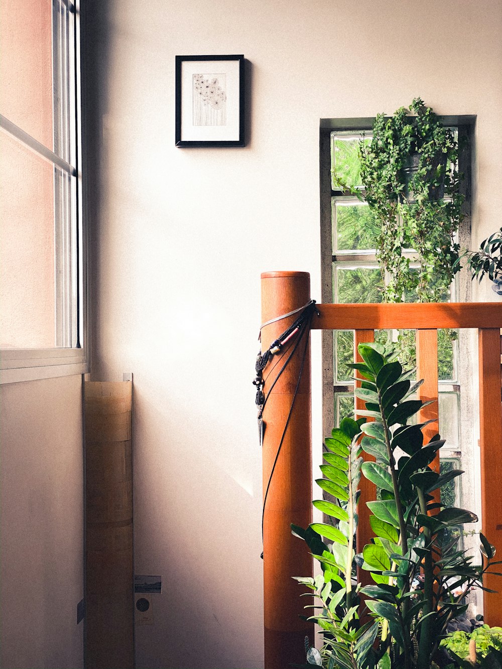 green potted plant on brown wooden table