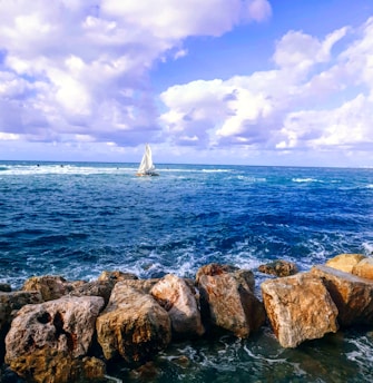 A serene ocean view representing maritime education.